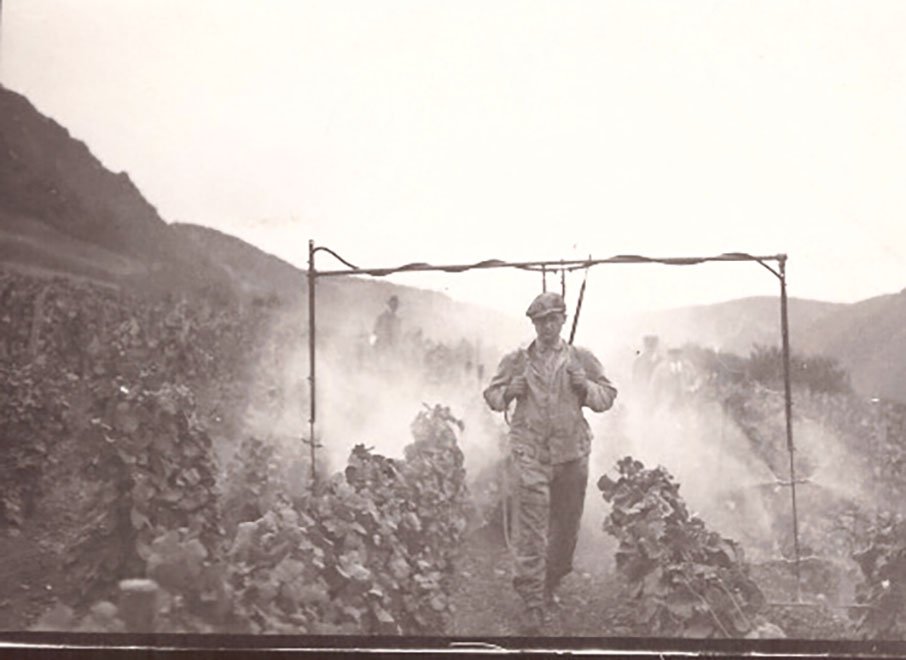 Foto Arbeiter mit Gestell zum Spritzen im Weinberg (Freilichtmuseum Roscheider Hof CC0)