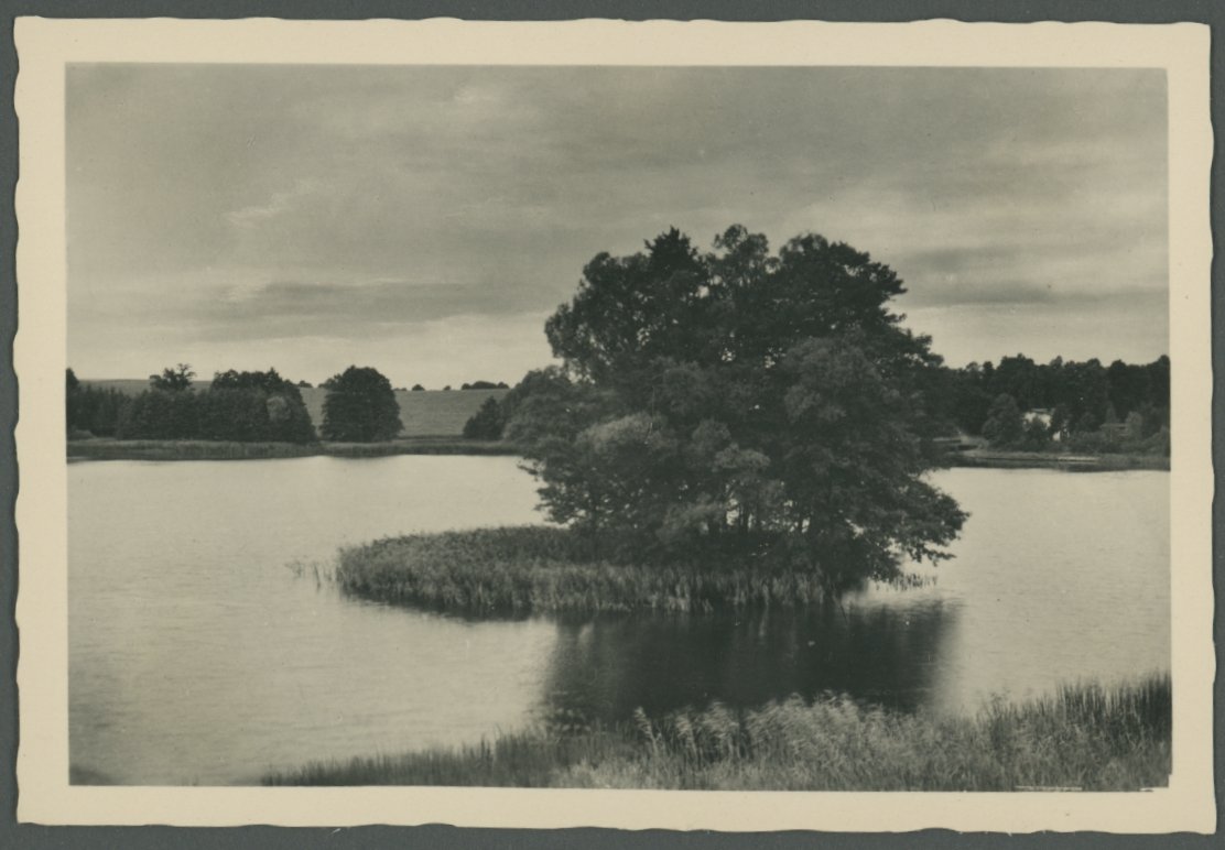 Fotografie eines kleinen Sees mit Insel (Freilichtmuseum Roscheider Hof CC0)