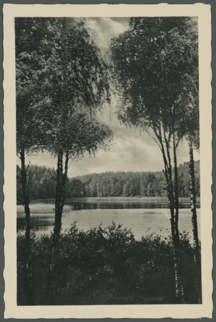 Fotografie eines Waldsees (Freilichtmuseum Roscheider Hof CC0)
