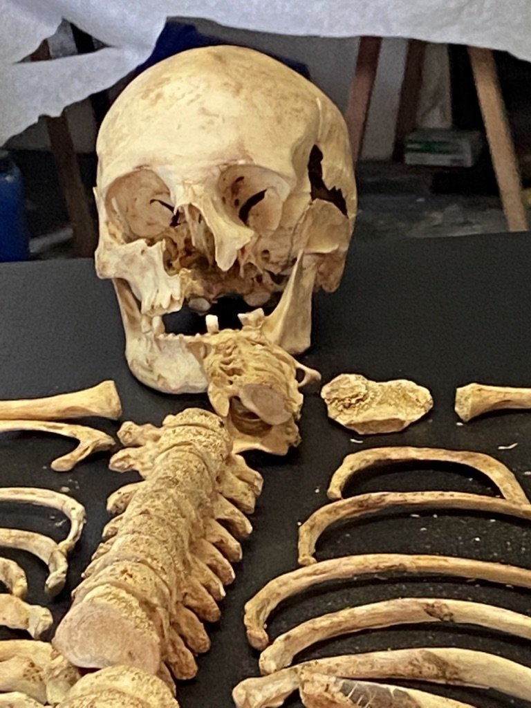 weibliches Skelett aus der Merowingerzeit (Ute Ledebur RR-R)