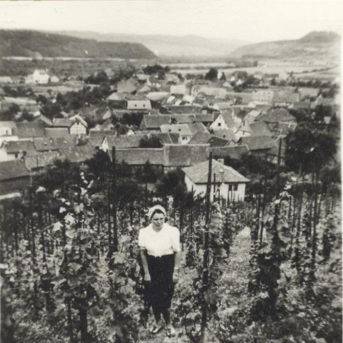 Frau spaziert im Weinberg zwischen der Rebstöcken (Heimatarchiv Bad Bodendorf CC BY-NC-SA)
