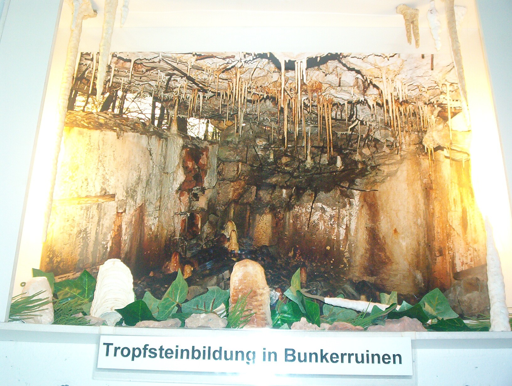Vitrine-Tropfstein-Kalk (Westwallmuseum Bad Bergzabern CC BY-NC-SA)