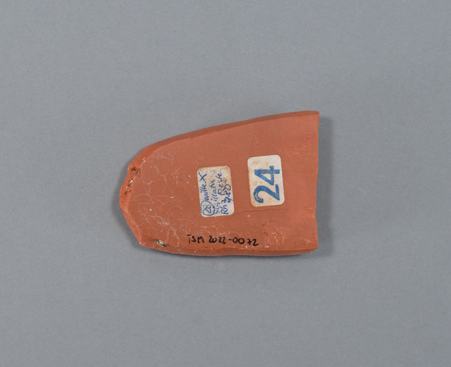 Fragment einer Brennprobe "24" (Terra Sigillata Museum CC BY-NC-ND)