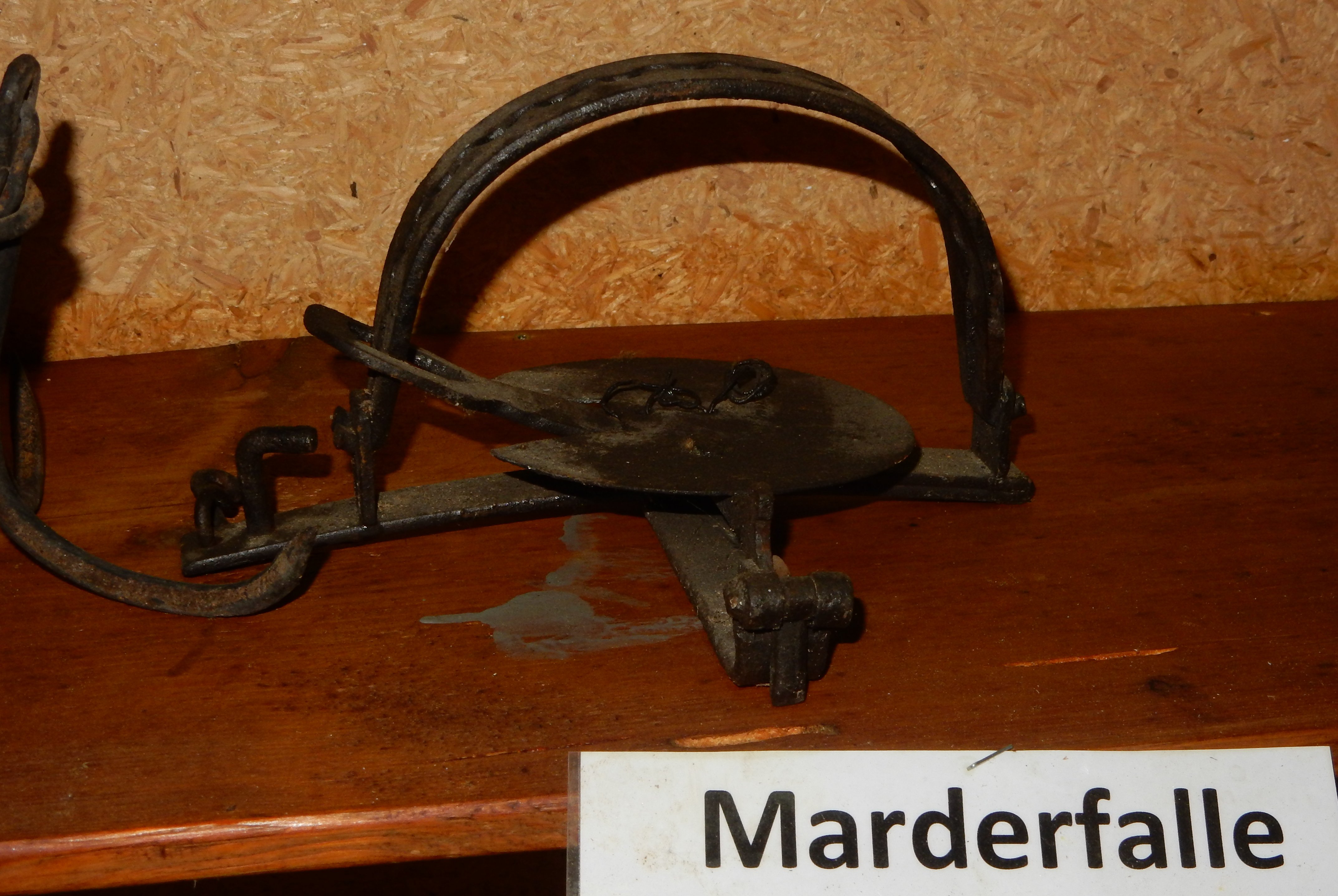 Marderfalle (Einrichmuseum CC BY-NC-SA)