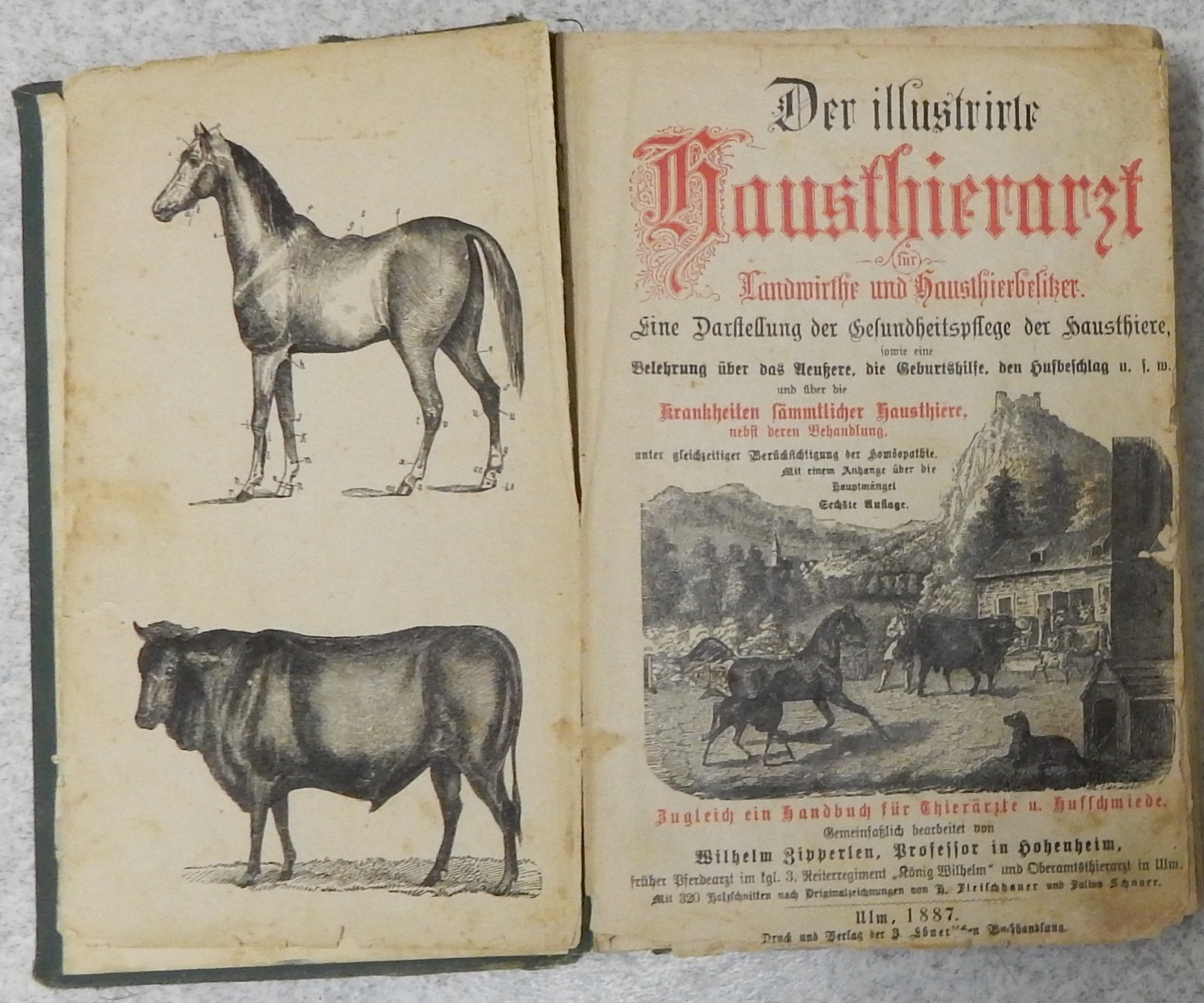 Buch Der illustrirte Hausthierarzt für Landwirthe und Hausthierliebhaber.. (Einrichmuseum CC BY-NC-SA)