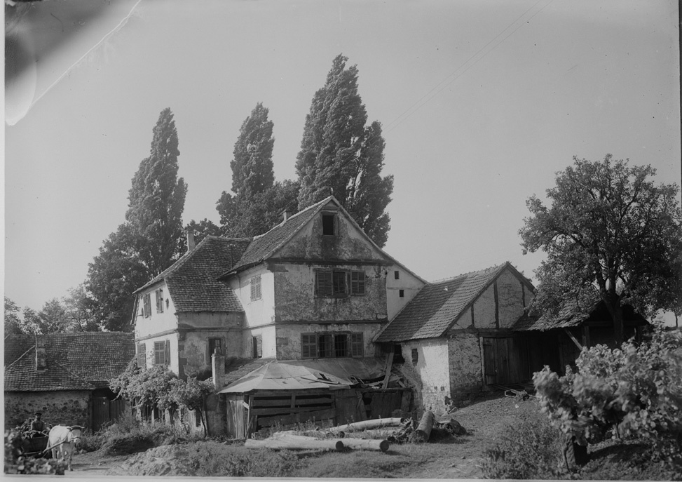 Haus mit Rindergespann (Historisches Museum der Pfalz, Speyer CC BY)