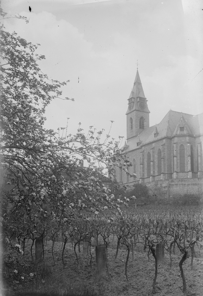 Weinreben vor Kirche (Historisches Museum der Pfalz, Speyer CC BY)