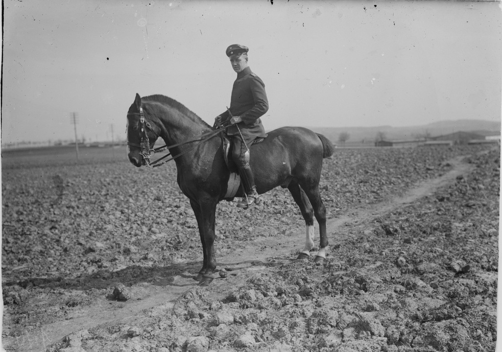 Soldat auf Pferd (Historisches Museum der Pfalz, Speyer CC BY)