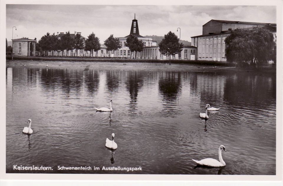 Kaiserslautern. Schwanenteich im Ausstellungspark (Theodor-Zink-Museum Kaiserslautern CC BY-NC-SA)