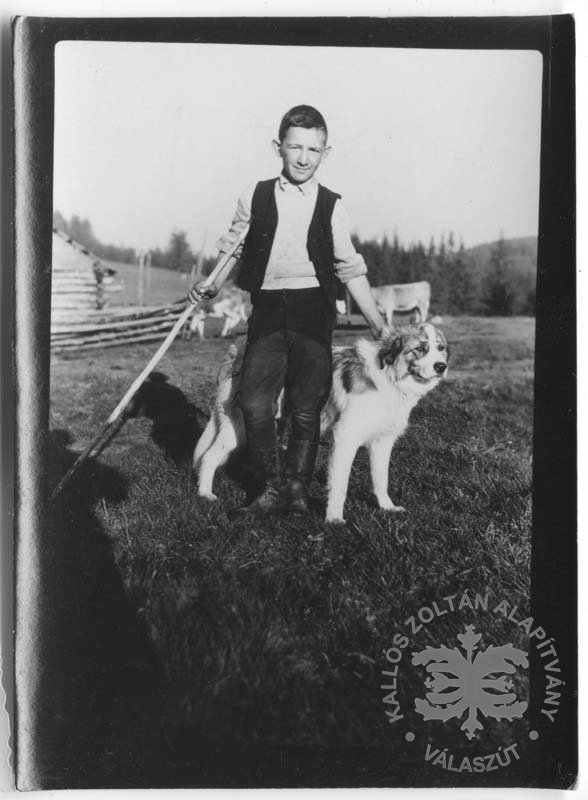 Fiatal pásztorlegény kutyájával (Kallós Zoltán Alapítvány CC BY-NC-SA)