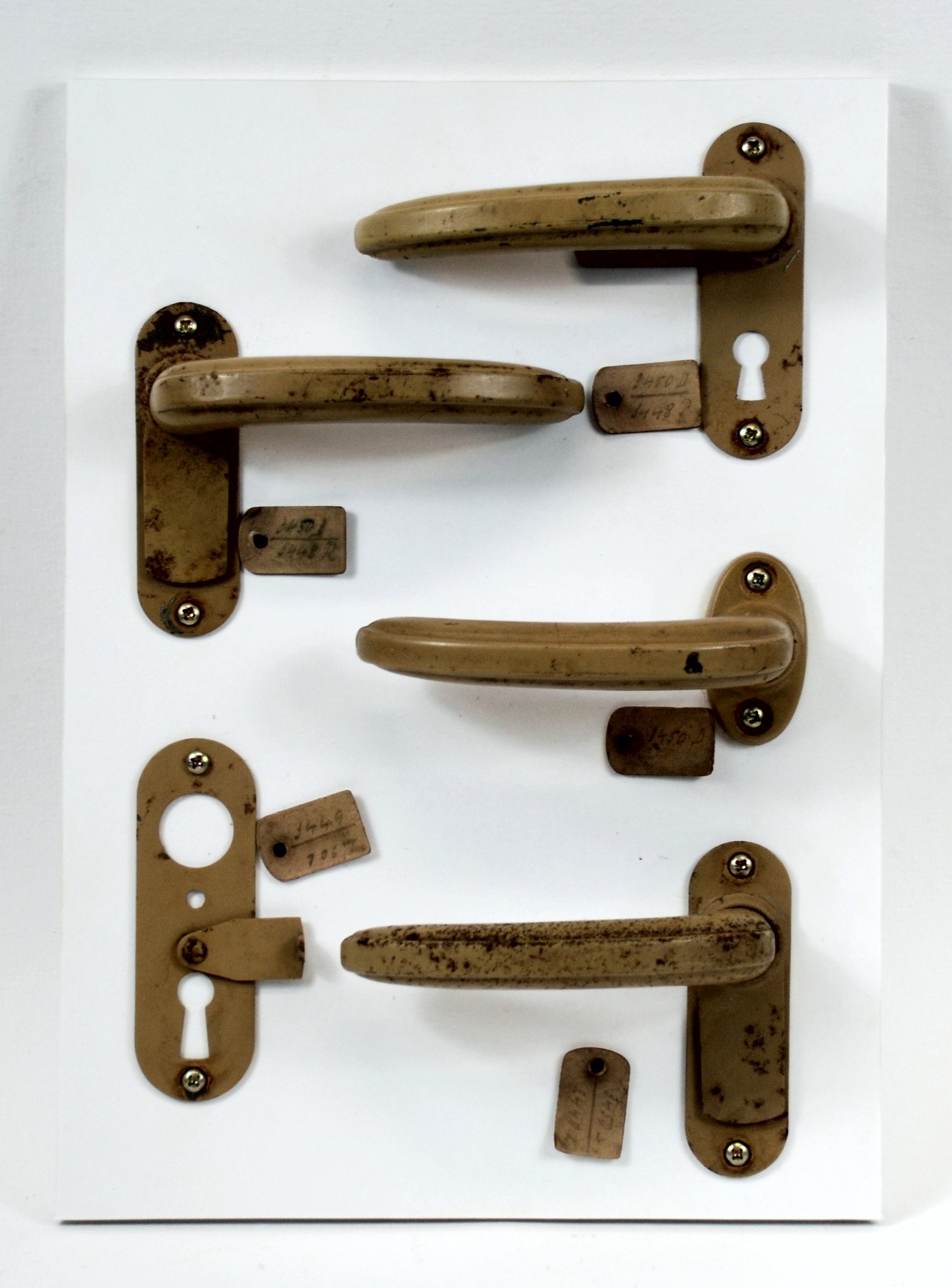 Türdrücker mit Langschild (Stadtmuseum / Kleine Galerie Döbeln CC BY-NC-SA)
