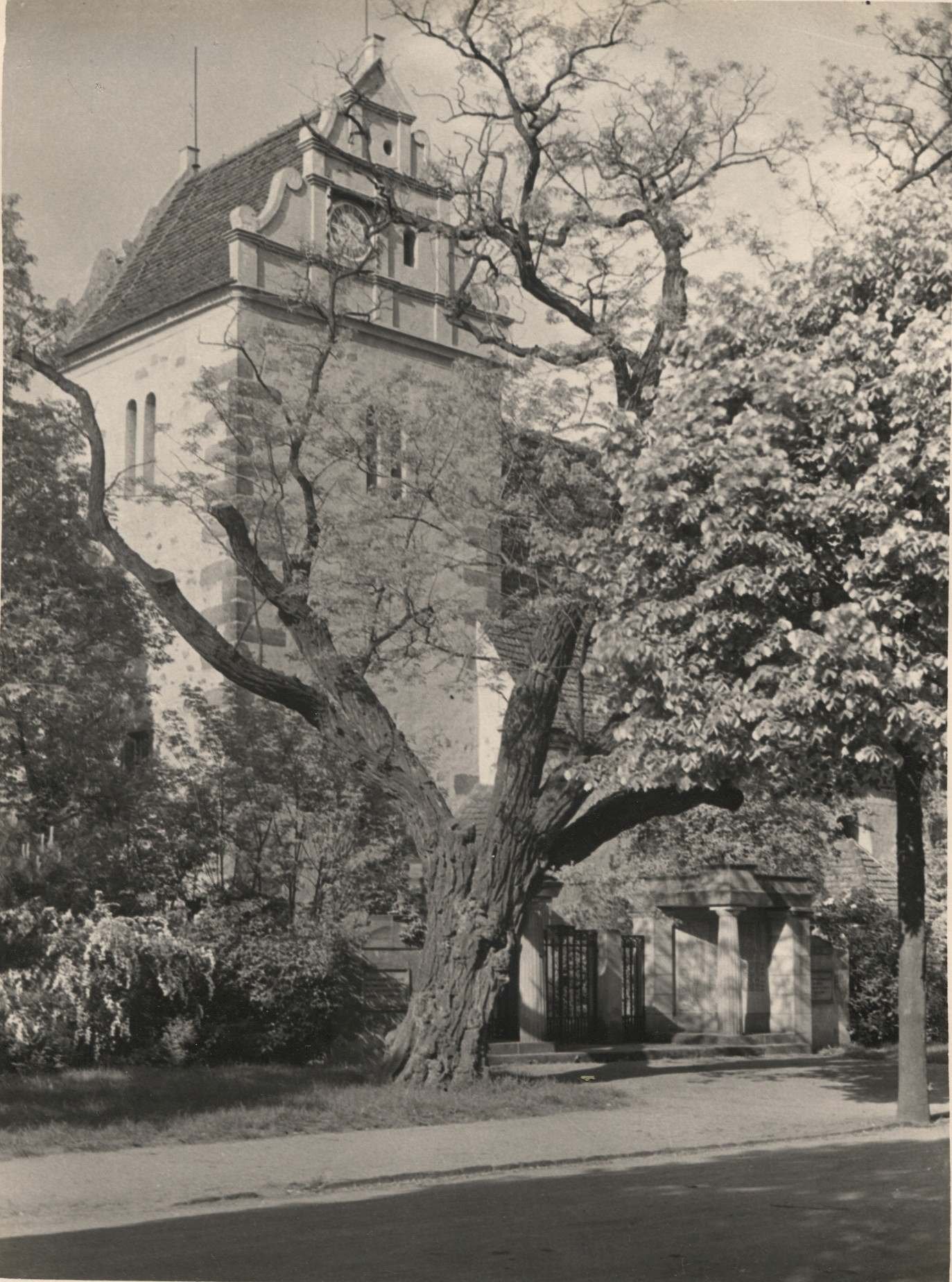 Turm der Alten Kirche (Karrasburg Museum Coswig CC BY-NC-SA)
