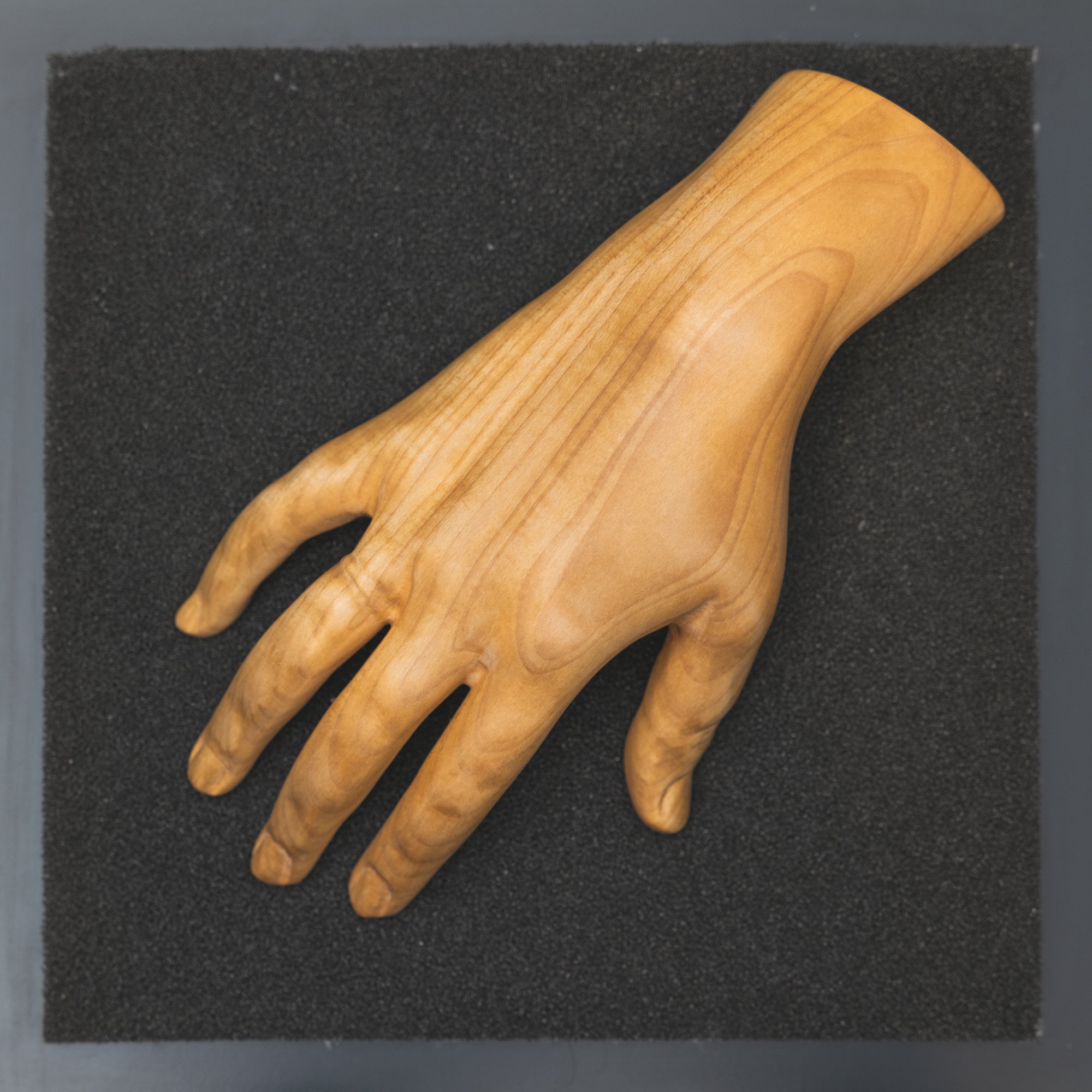 Claras Hand - Klanginstallation von Erwin Stache (Schumann-Haus Leipzig CC BY-NC-SA)