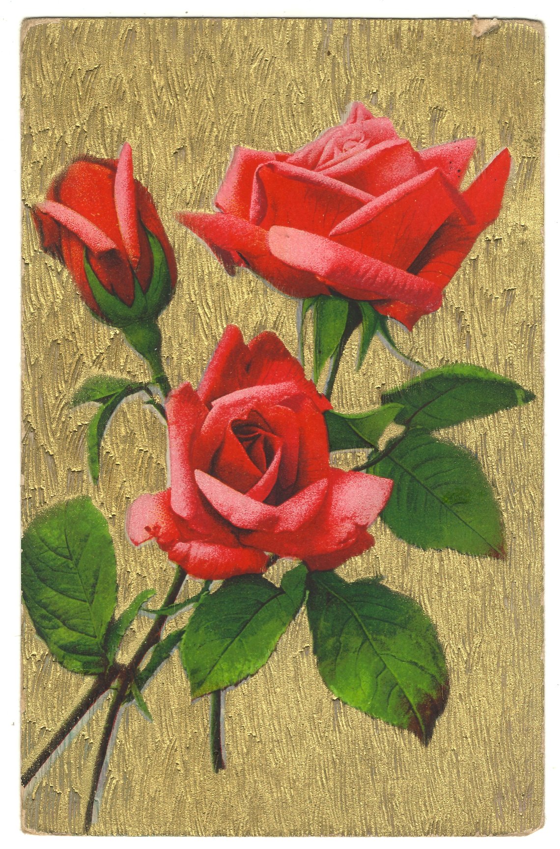Postkarte, Grußkarte mit Rosen (Heimatwelten Zwönitz CC BY-NC-SA)