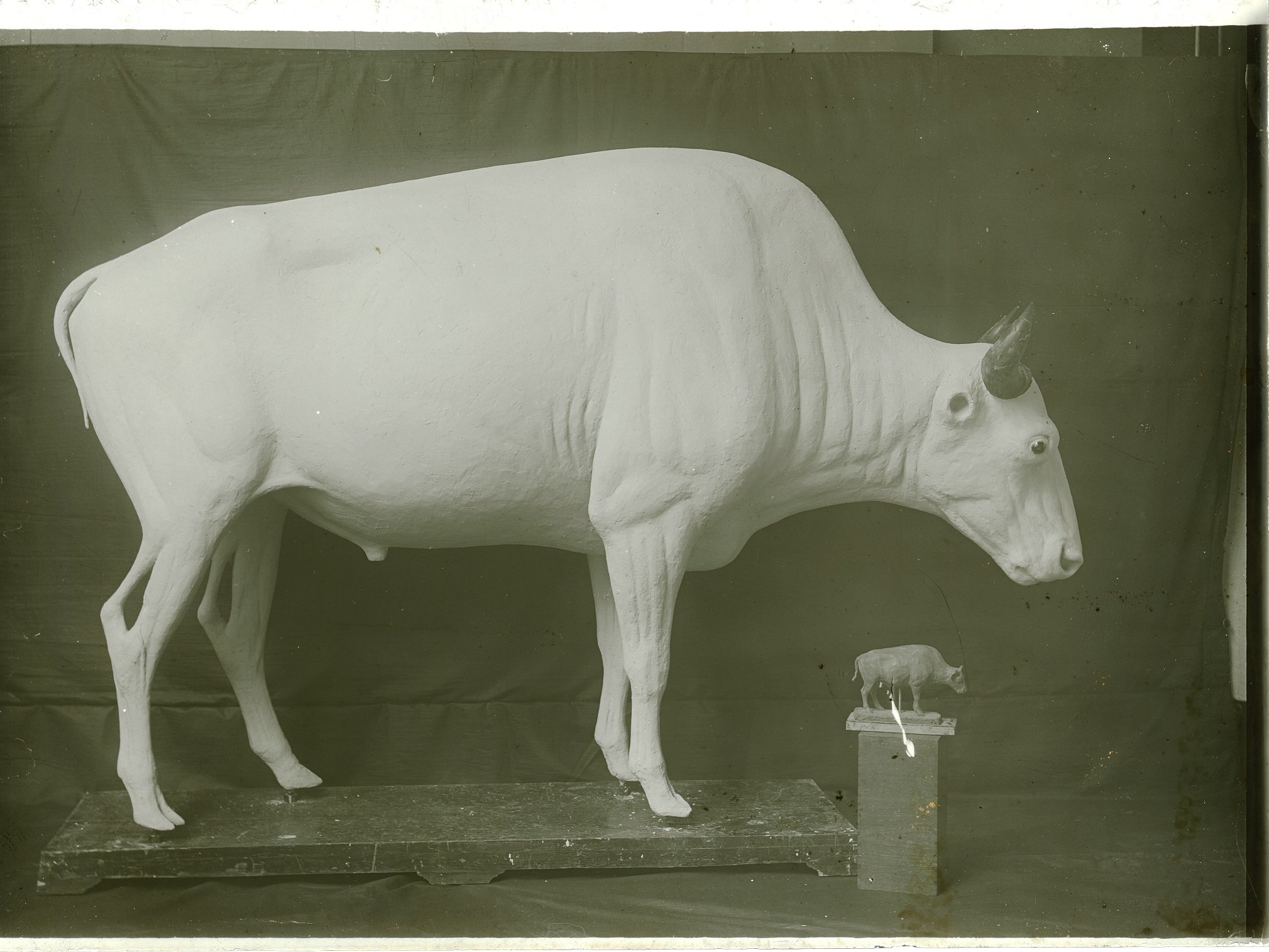 Nacktmodell Bison + Vormodell (Naturkundemuseum Leipzig CC BY-NC-SA)