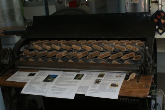 Rauhmaschine mit Natur-Rauhkarden, diente zur Aufrauhung von Stoffen. Motorantrieb Elektromotor Typ D 336 220/380 V 0,5kW 930 U/min, Restaurationsberichte (Museen der Stadt Limbach-Oberfrohna Esche-Museum CC BY-NC-SA)
