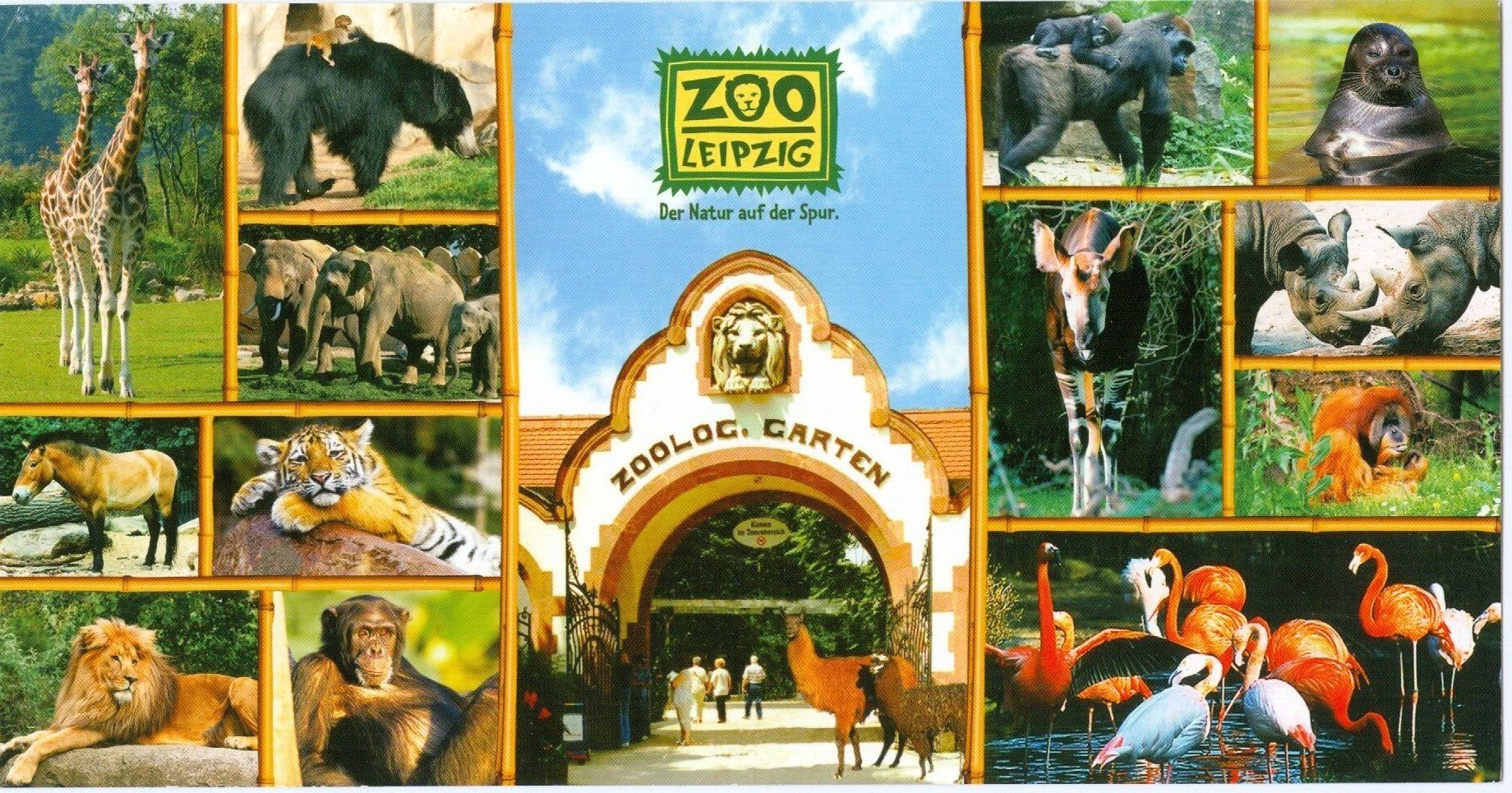 Ansichtskarte Zoo Leipzig (SMILE & FUN Verlag und Ideenbörse E.K. CC BY-NC-SA)