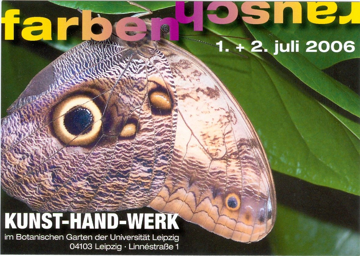farben-rausch Werbepostkarte (Phyllodrom – Regenwaldmuseum Leipzig CC BY-NC-SA)