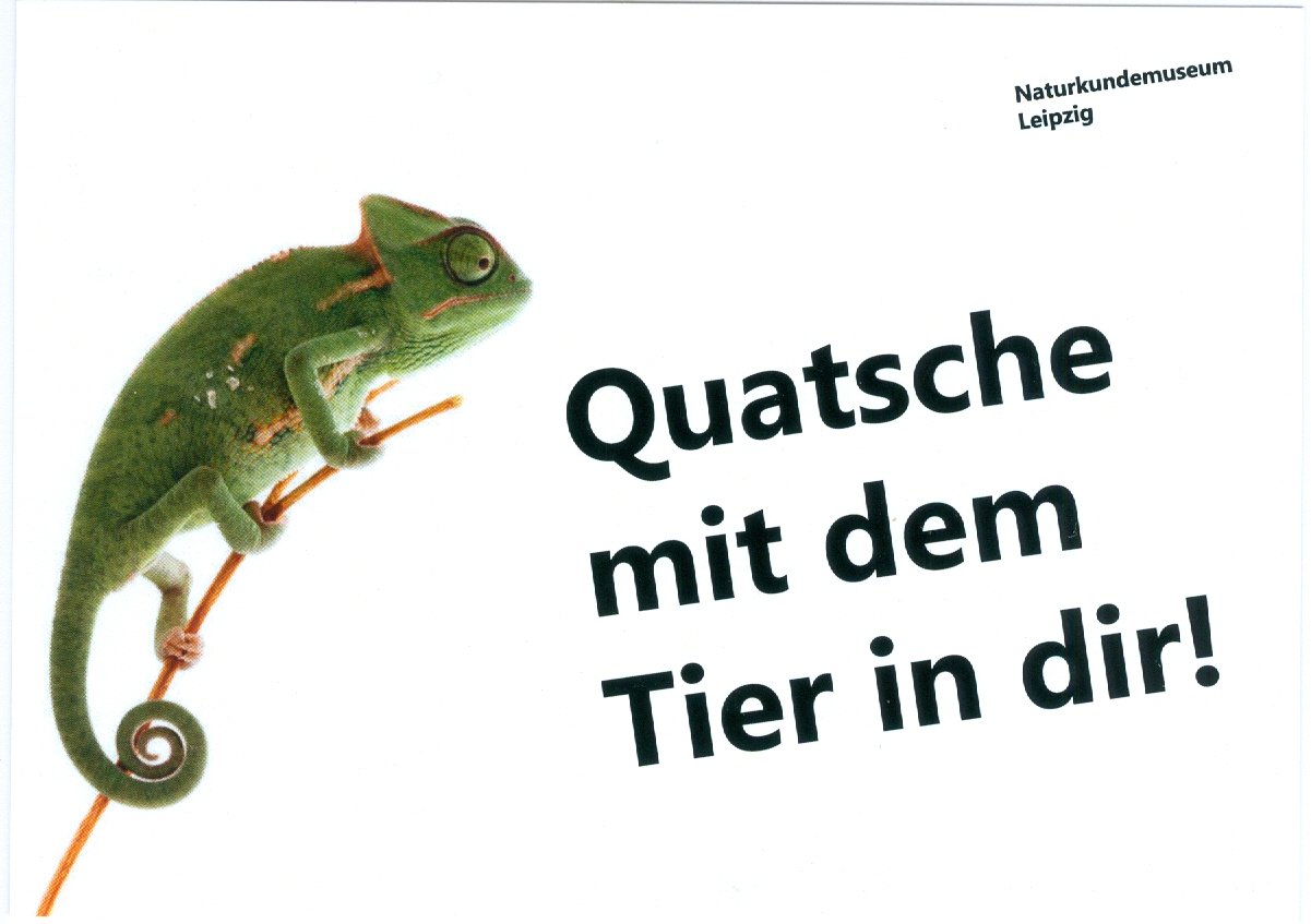 Postkartenreihe zum Musseumsfest 2017 (Naturkundemuseeum Leipzig CC BY-NC-SA)