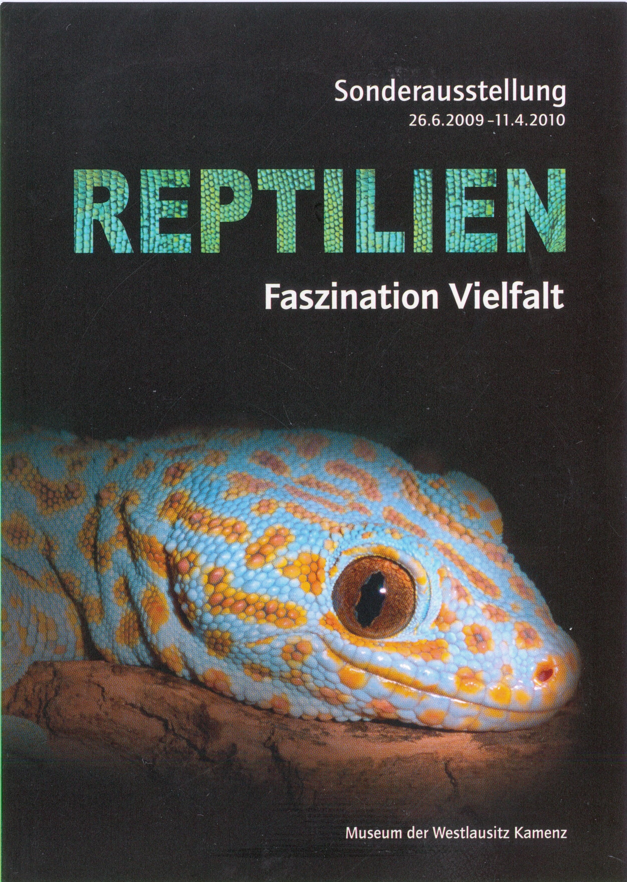 Postkarte zur Somderausstellung Reptilien in Kamenz 2009 (Elementarium Kamenz CC BY-NC-SA)