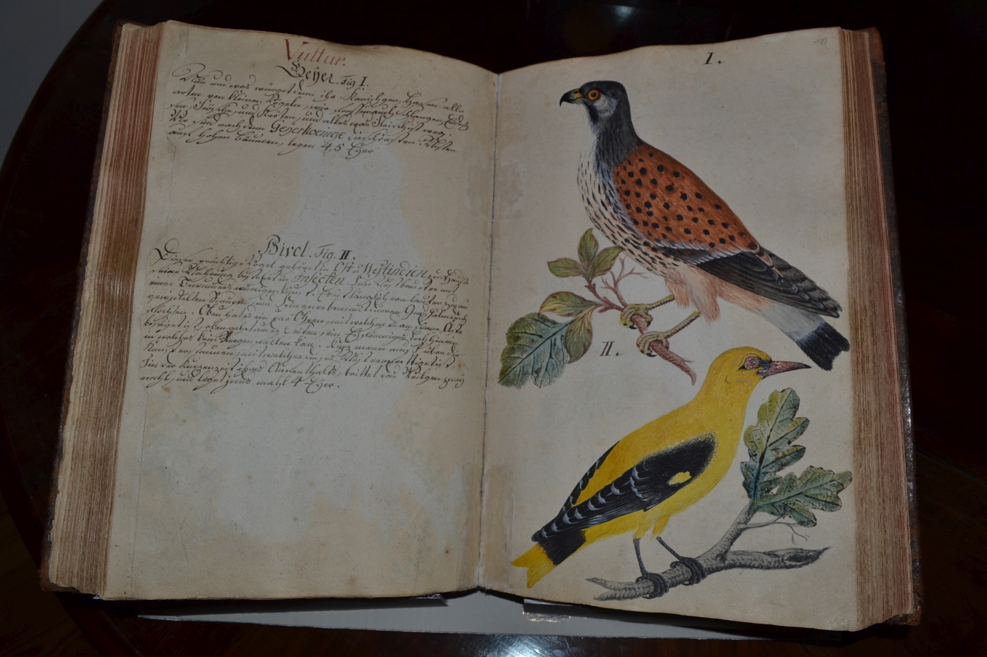 Vogelbuch (Deutsches Damast- und Frottiermuseum CC BY-NC-SA)