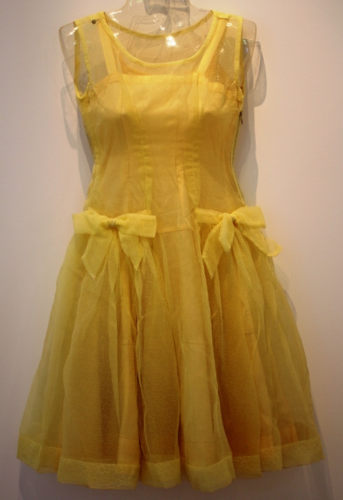 Petticoatkleid, gelb (P. Hauschild CC BY-NC-SA)