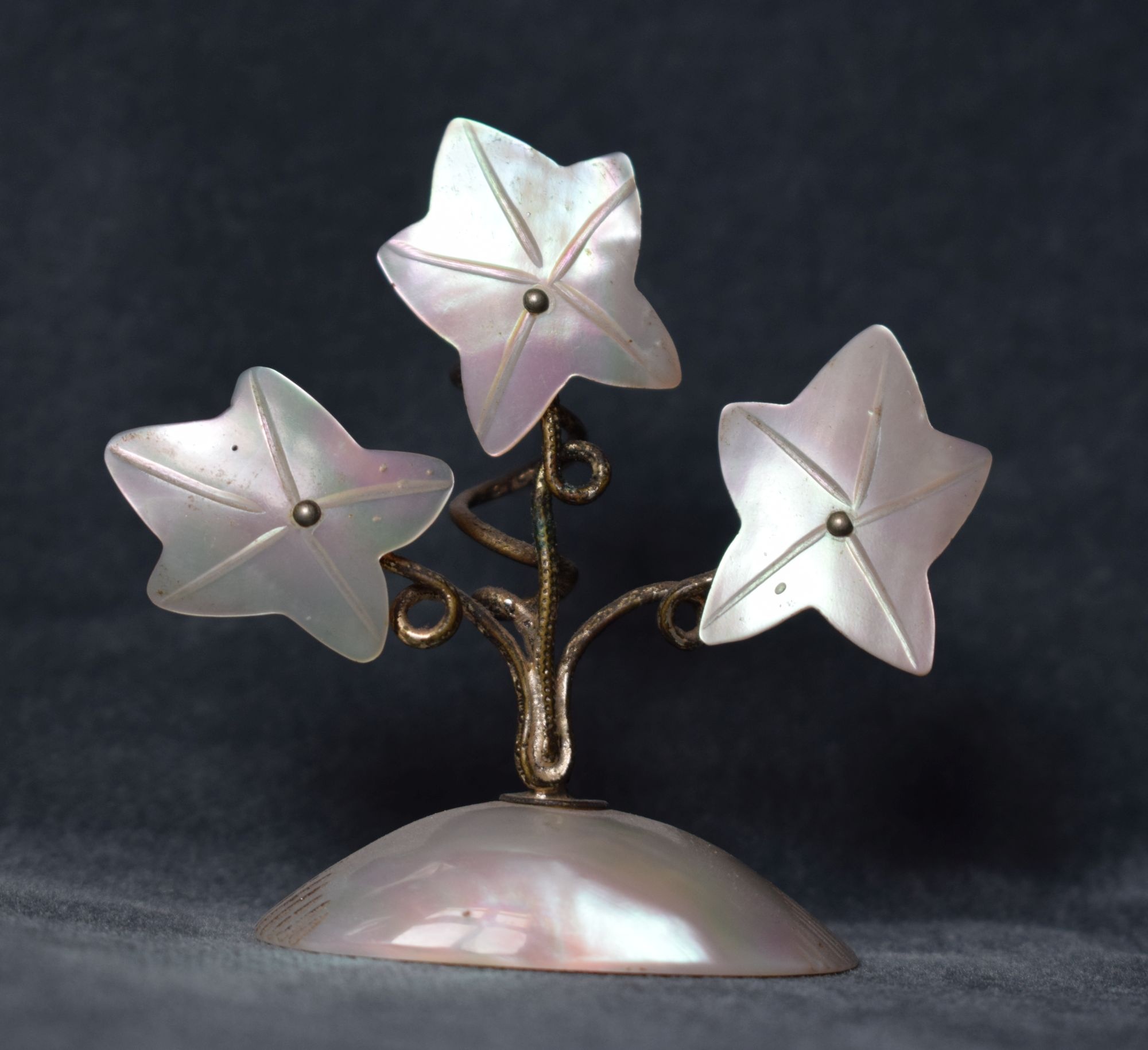 Fingerhuthalter mit drei Blüten (Perlmutter- und Heimatmuseum Adorf CC BY-NC-SA)