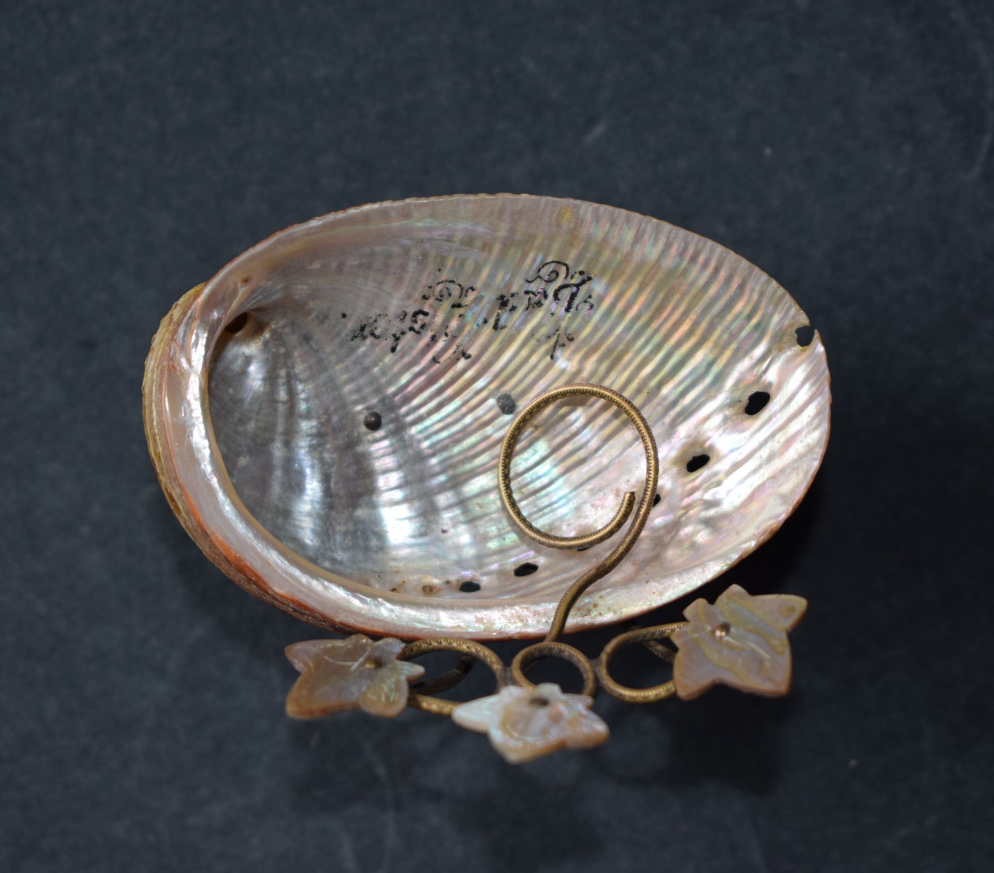 Schale aus einem Seeohrgehäuse (Perlmutter- und Heimatmuseum Adorf CC BY-NC-SA)