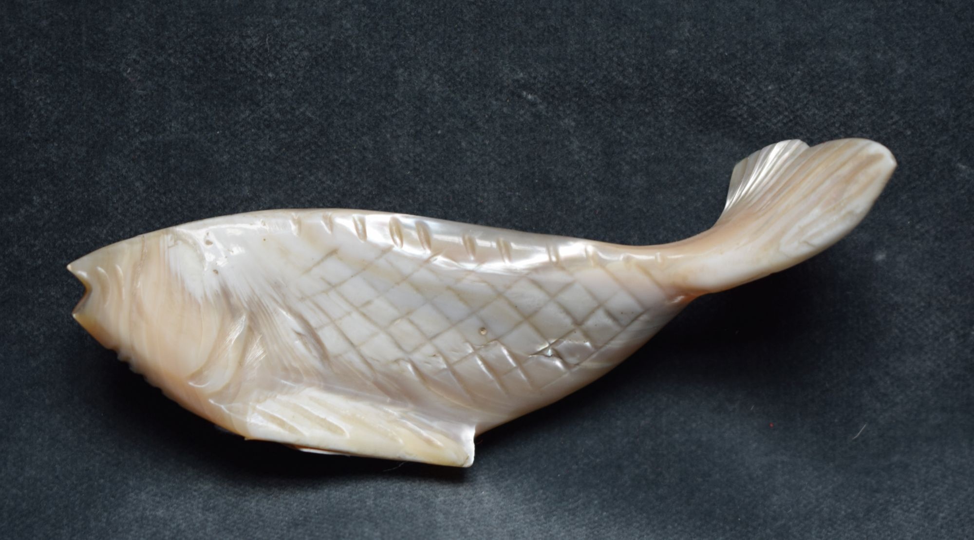 Fisch aus Perlmutter (Perlmutter- und Heimatmuseum Adorf CC BY-NC-SA)