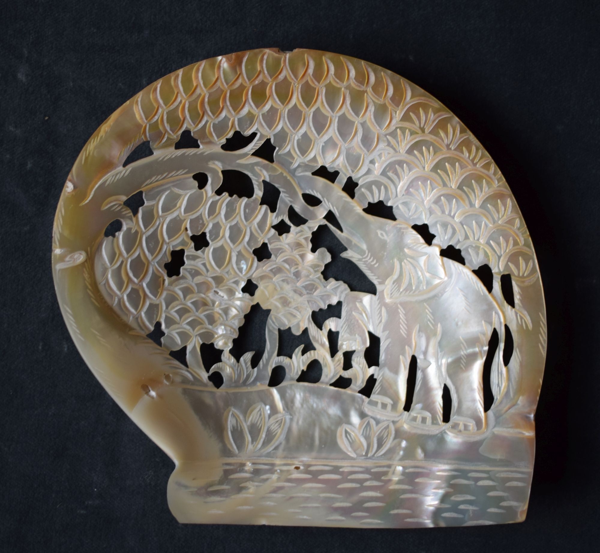 Muschelschale der mit Elefant (Perlmutter- und Heimatmuseum Adorf CC BY-NC-SA)