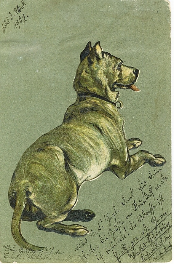 Postkarte mit Hundemotiv (Museum Niesky CC BY-NC-SA)
