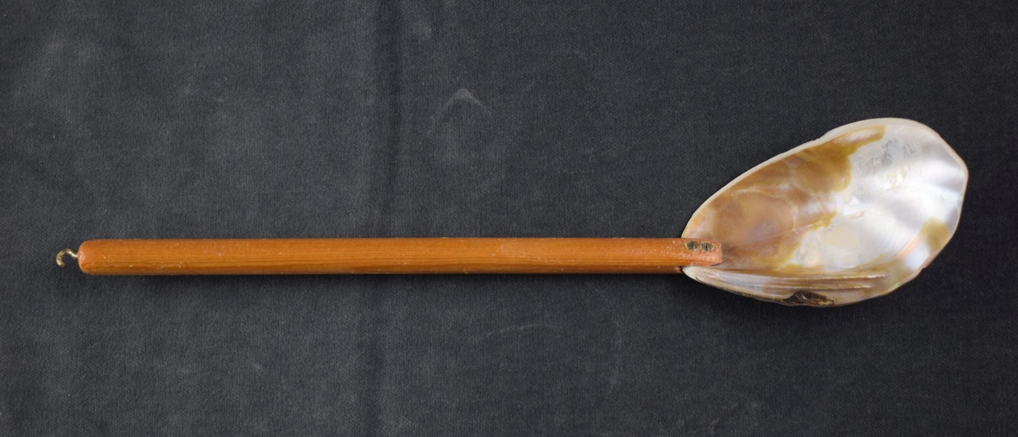 Schuhlöffel mit einer Laffe aus Muschelschale (Perlmutter- und Heimatmuseum Adorf CC BY-NC-SA)