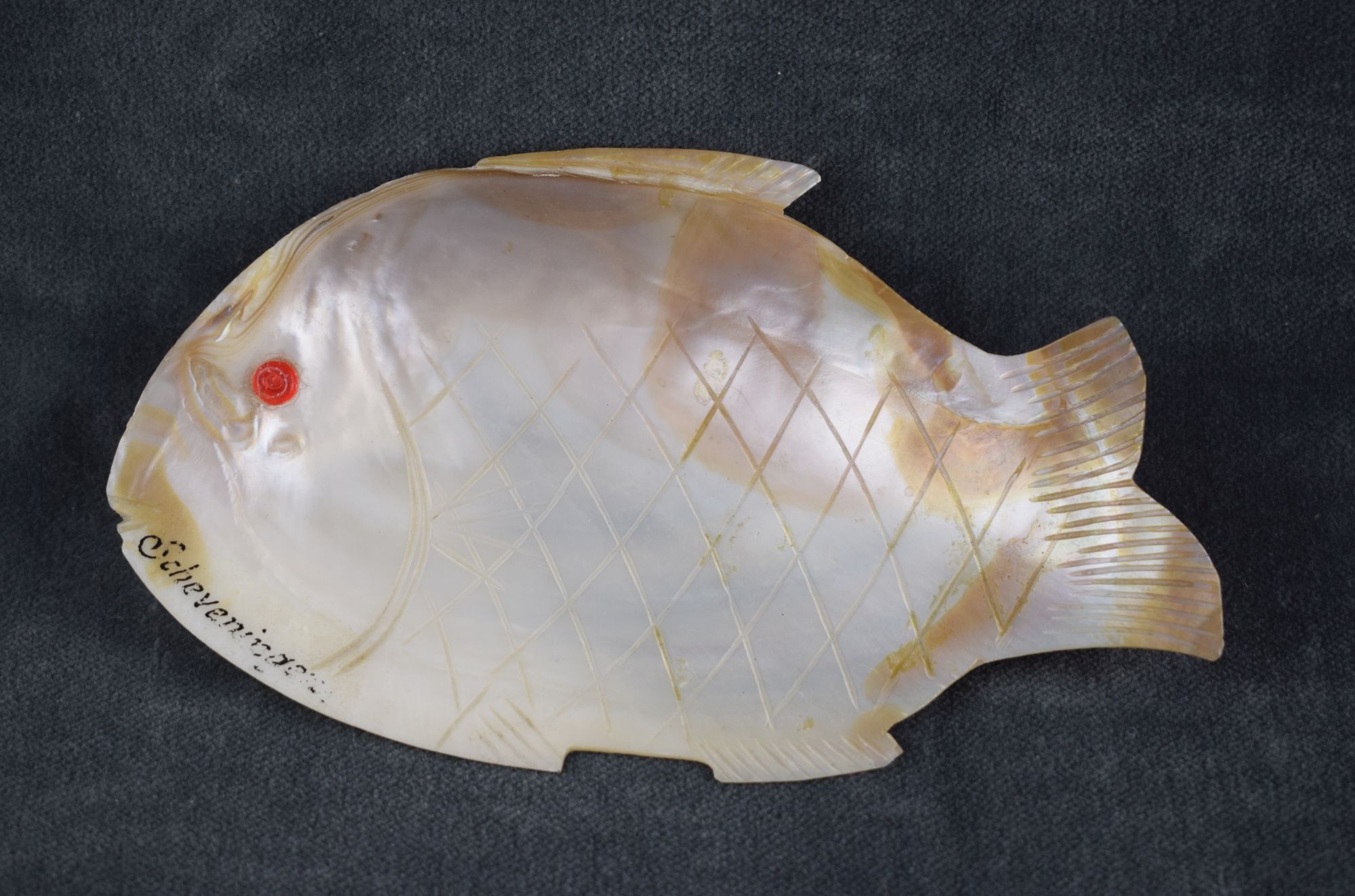 Fischförmiger Aschenbecher (Perlmutter- und Heimatmuseum Adorf CC BY-NC-SA)