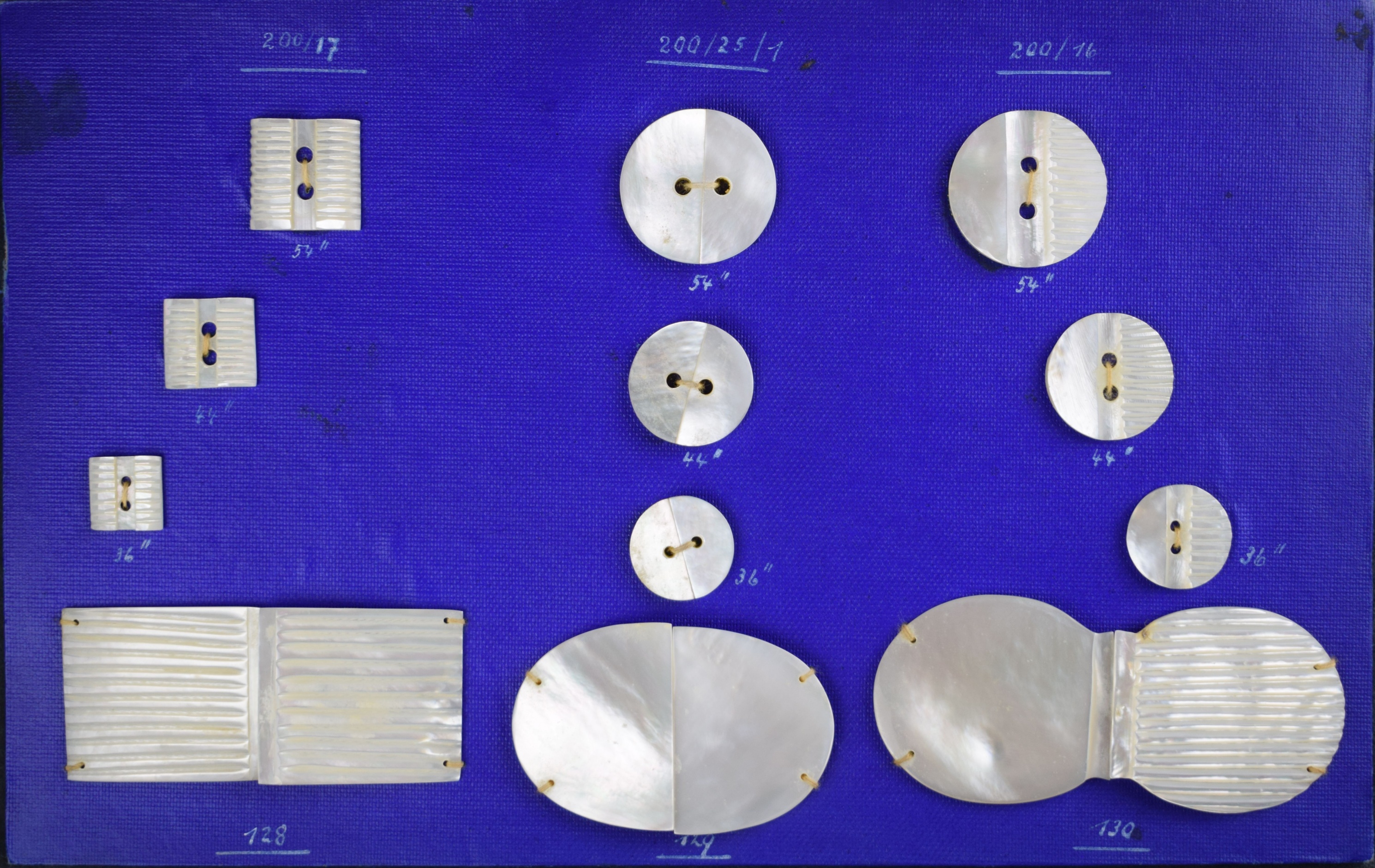 Musterkarte für Perlmutterknöpfe (Perlmutter- und Heimatmuseum Adorf CC BY-NC-SA)