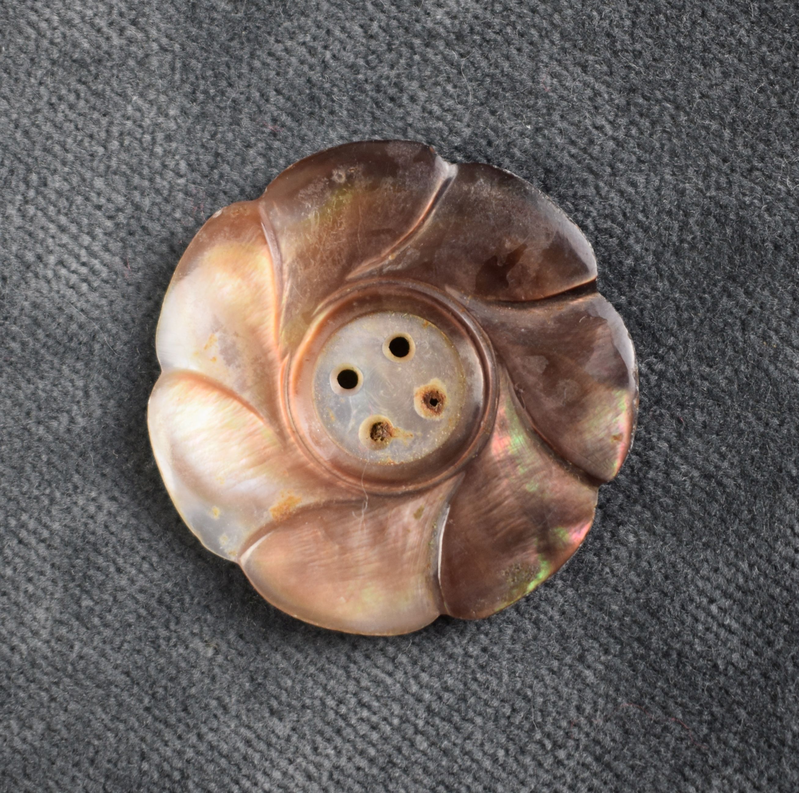 Blumenförmiger Knopf aus Perlmutter (Perlmutter- und Heimatmuseum Adorf CC BY-NC-SA)