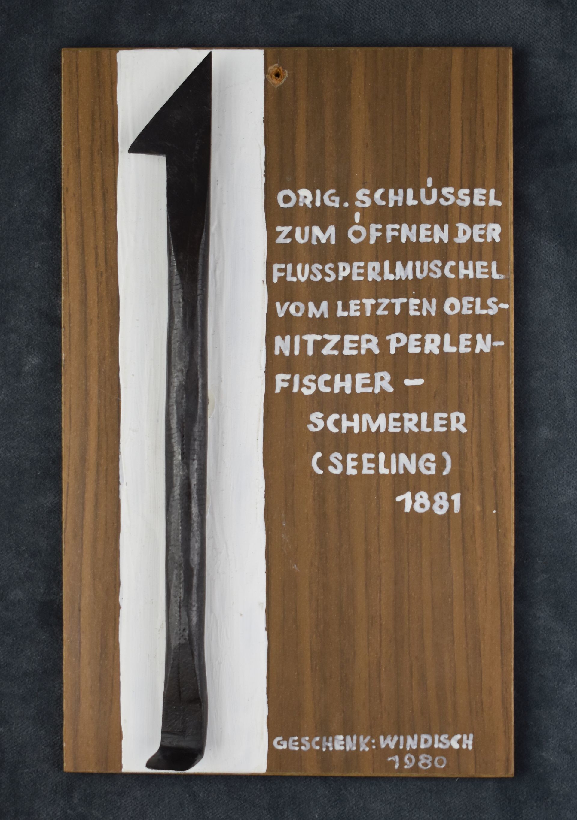 Muschelschlüssel (Perlmutter- und Heimatmuseum Adorf CC BY-NC-SA)