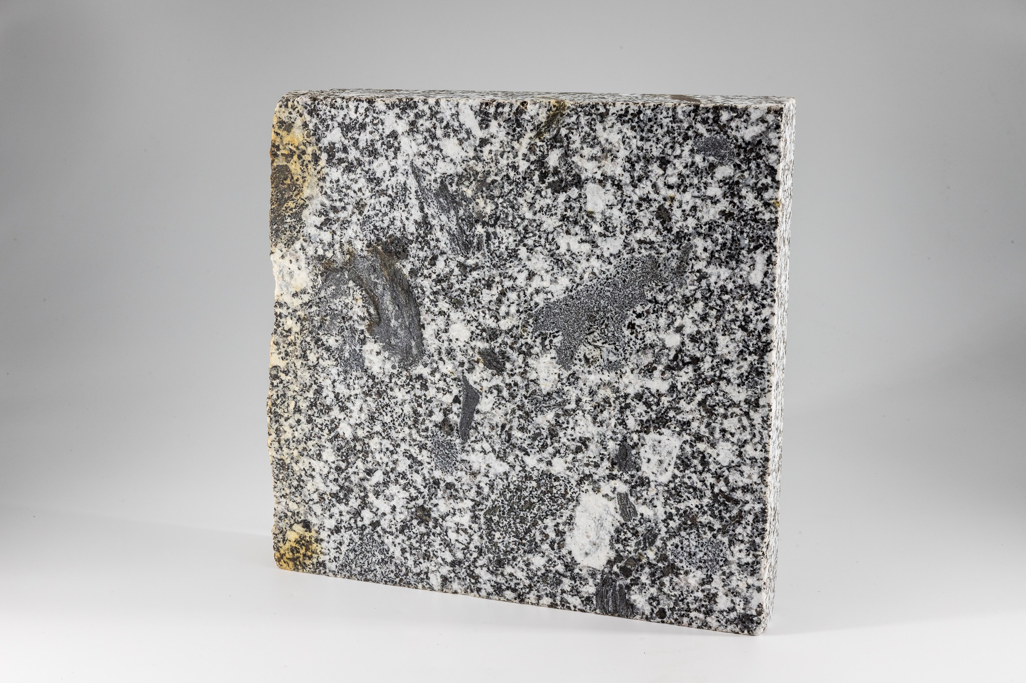 Lausitzer Granodiorit mit zahlreichen, kleinen Fremdgesteinseinschlüssen (Xenolithe) (Museum der Westlausitz Kamenz CC BY-NC-SA)