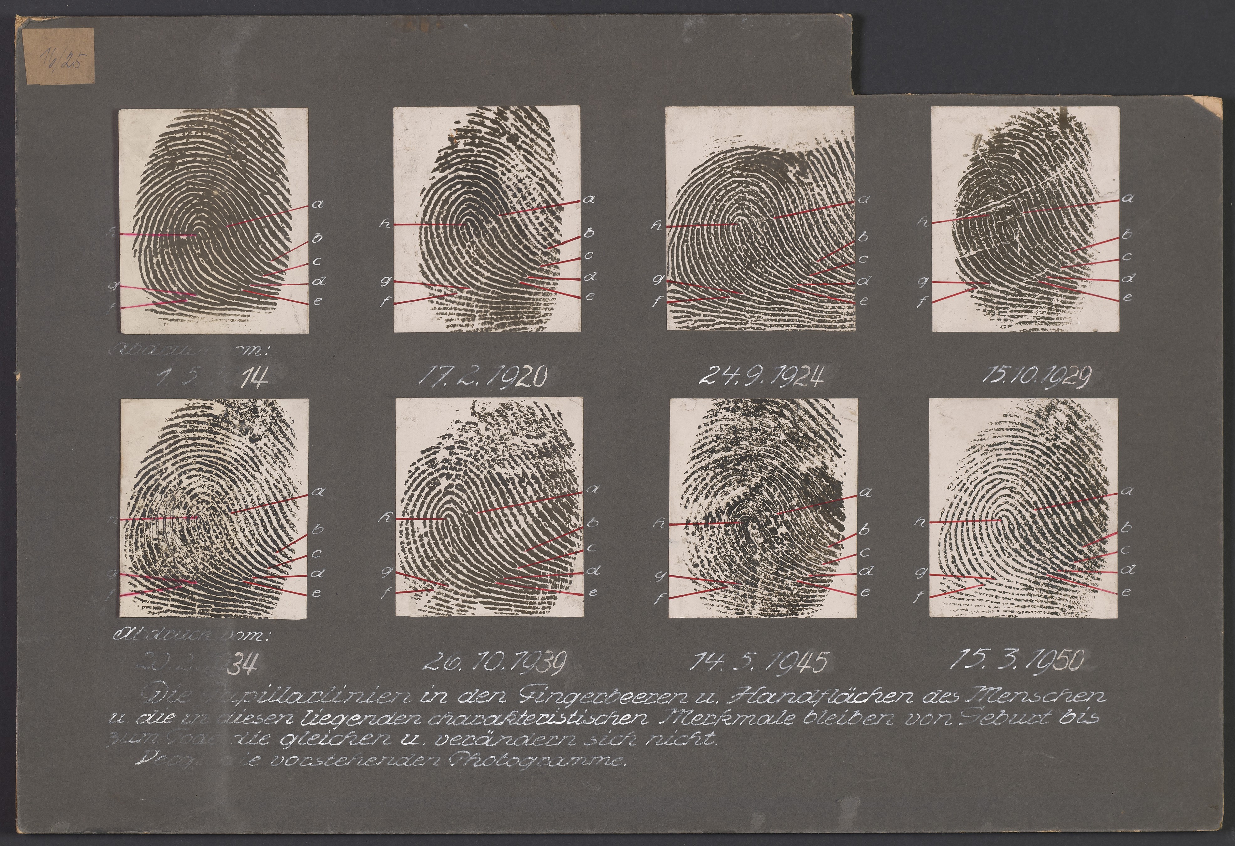Lehrtafel "Fingerabdruck eines Menschen" (Polizeidirektion Dresden RR-F)