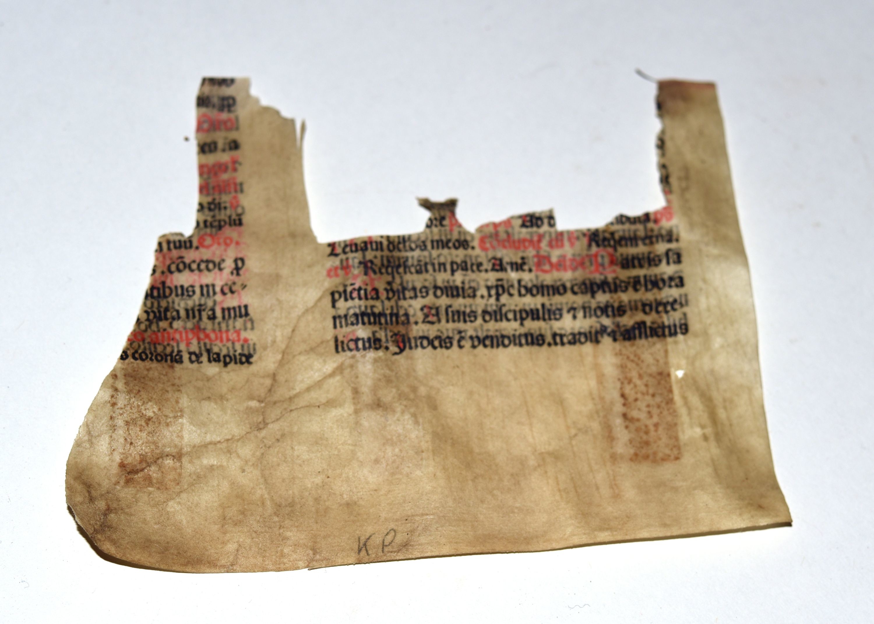 Pergamentstück aus einer Windlade (Gottfried-Silbermann-Museum CC BY-NC-SA)