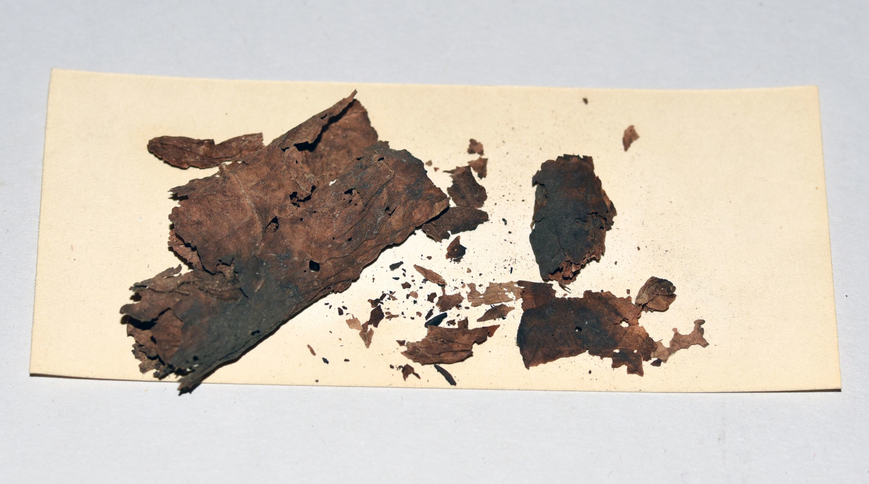 Tabakreste aus einer Silbermannorgel (Gottfried-Silbermann-Museum CC BY-NC-SA)