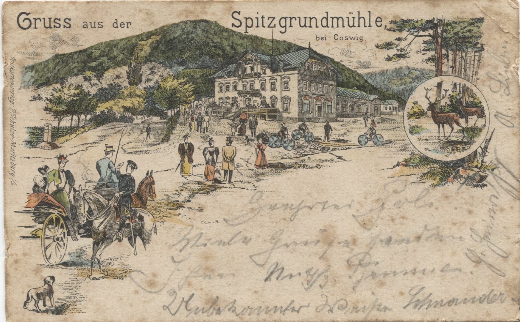 Postkarte: Coswig - Gaststätten - Spitzgrundmühle (Karrasburg Museum Coswig CC BY-NC-SA)