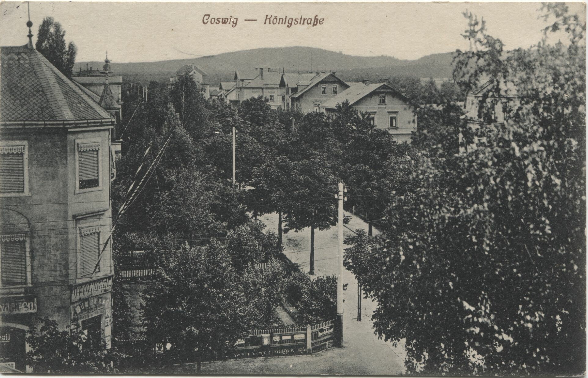 Postkarte: Coswig - Kastanienstraße (Königstraße) (Karrasburg Museum Coswig CC BY-NC-SA)