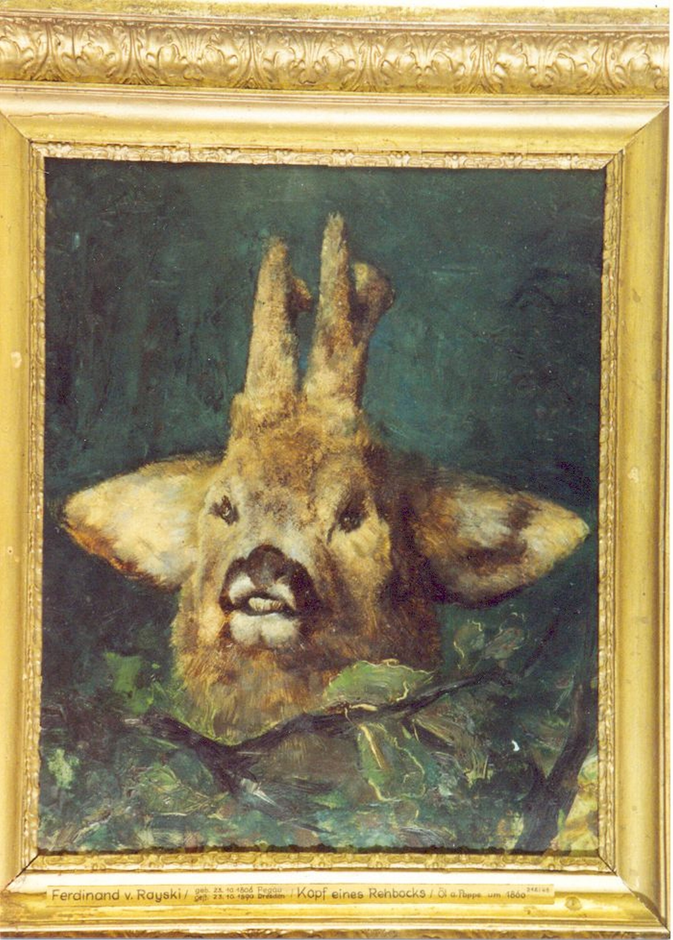 Gemälde: Kopf eines Rehbocks (Kulturhistorisches Museum Görlitz CC BY-NC-SA)