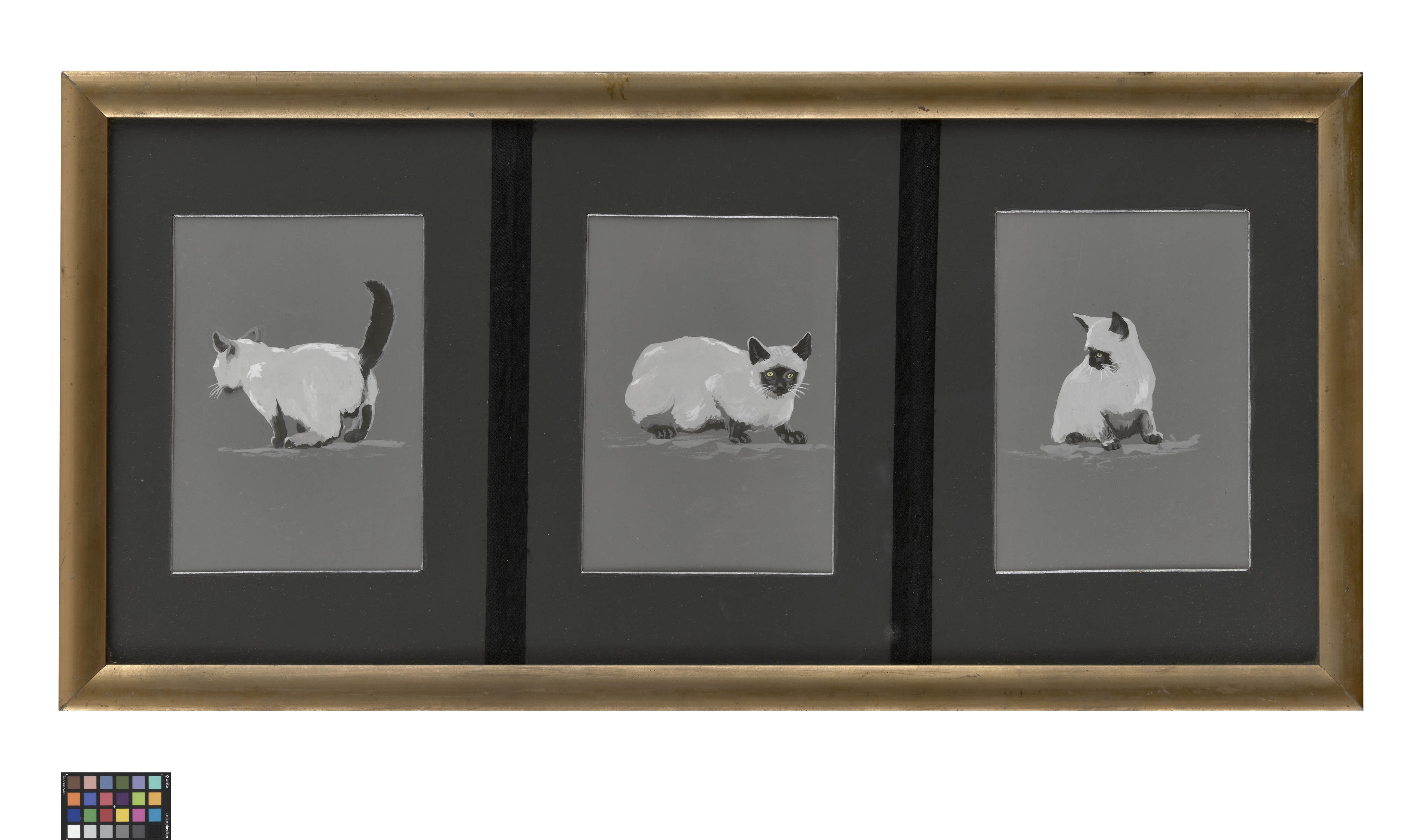 Ölbild: Katze in drei Ansichten (Kreismuseum Grimma RR-F)