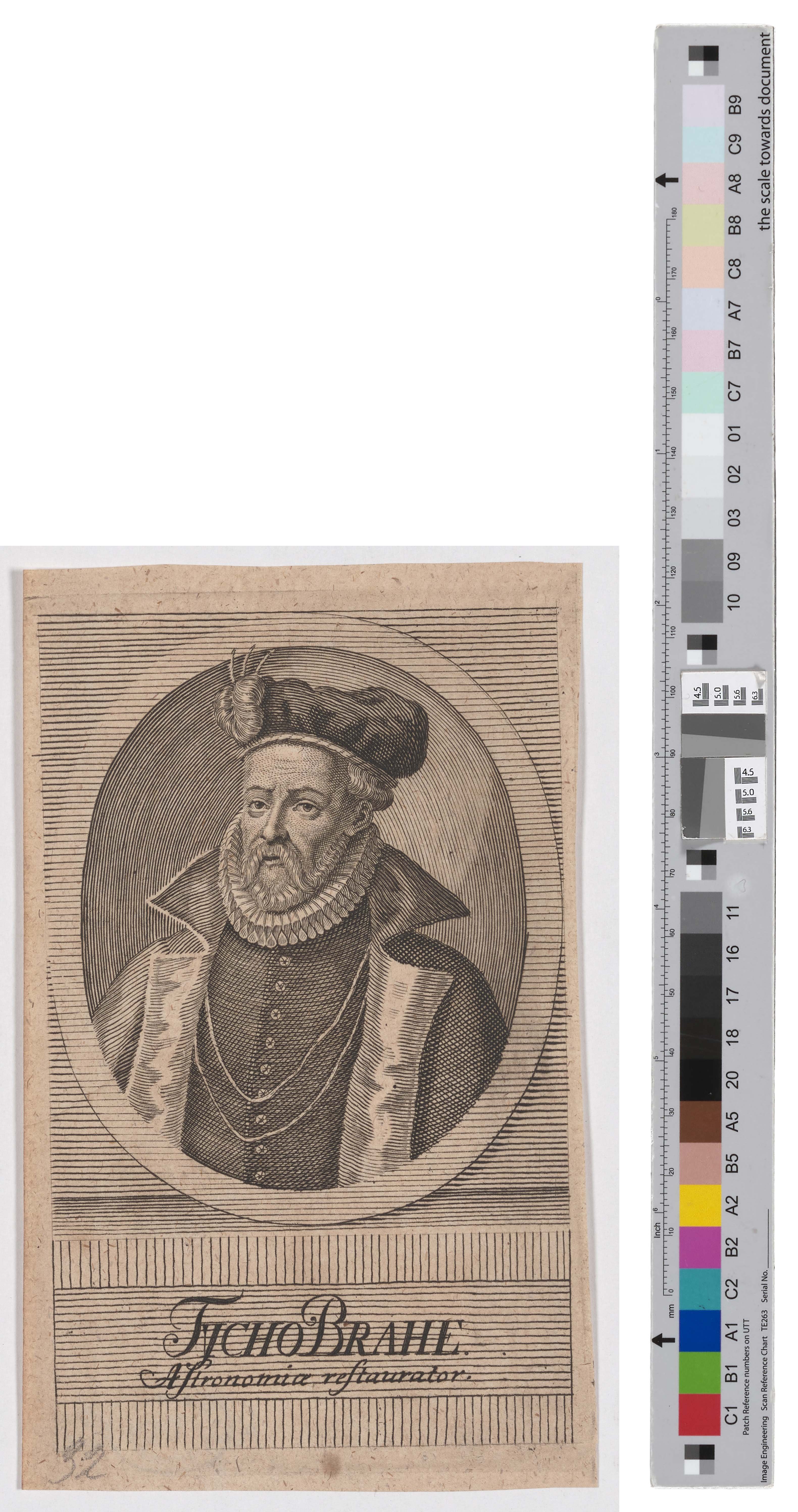 Porträt des Tycho Brahe (Kreismuseum Grimma RR-F)