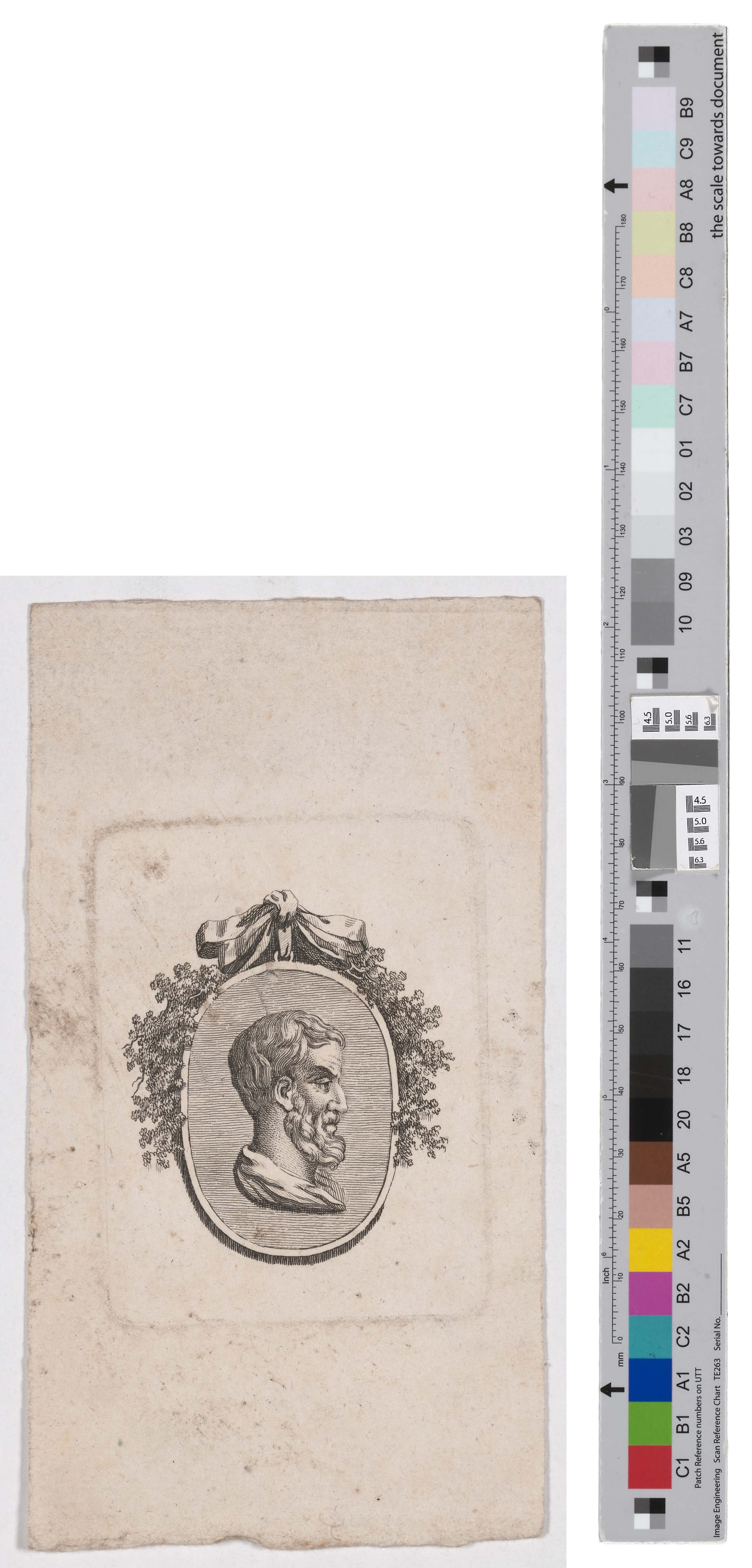 Druckgrafik mit der Büste eines Unbekannten (Kreismuseum Grimma RR-F)