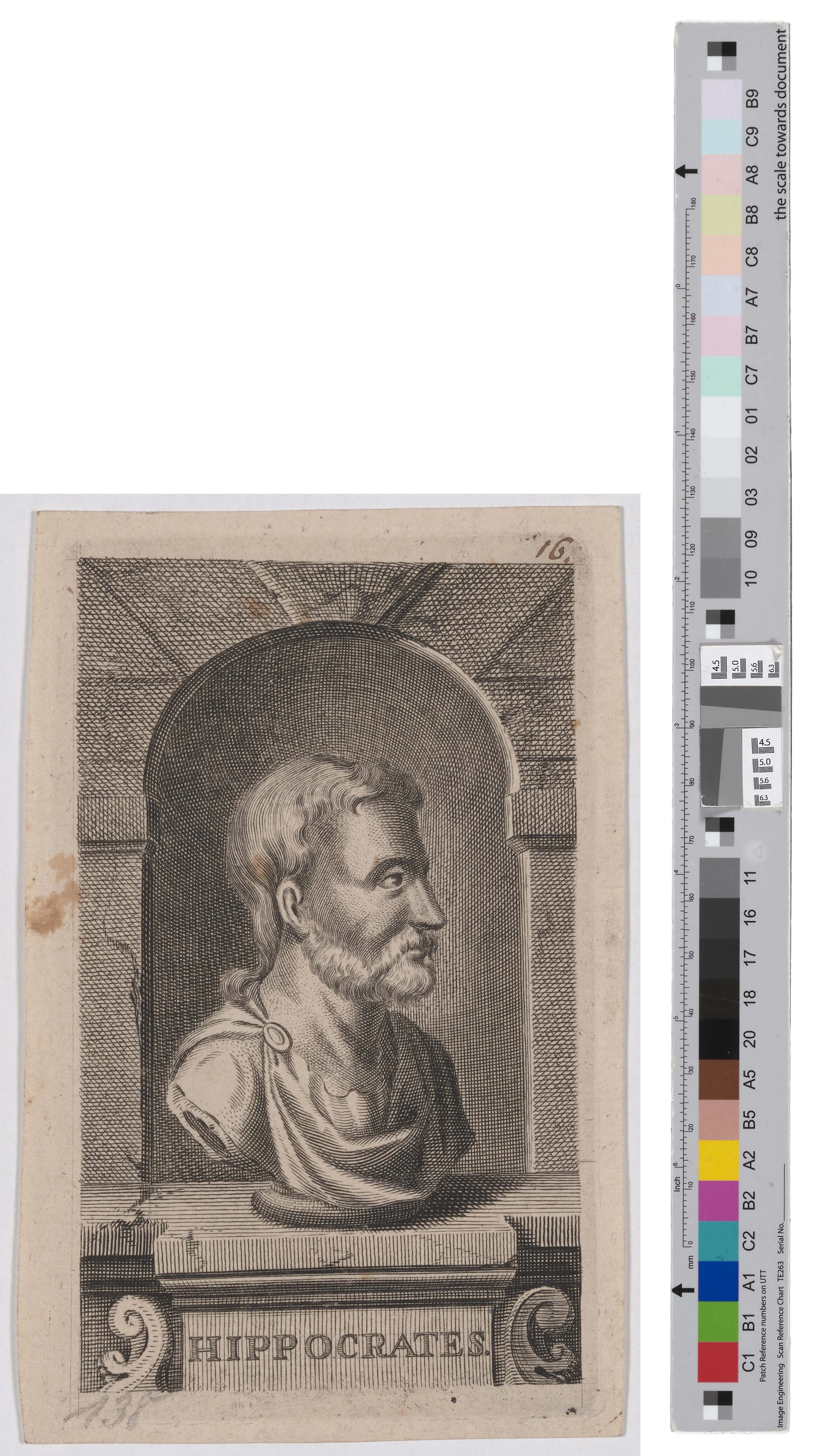 Porträt des Hippokrates von Kos (Kreismuseum Grimma RR-F)