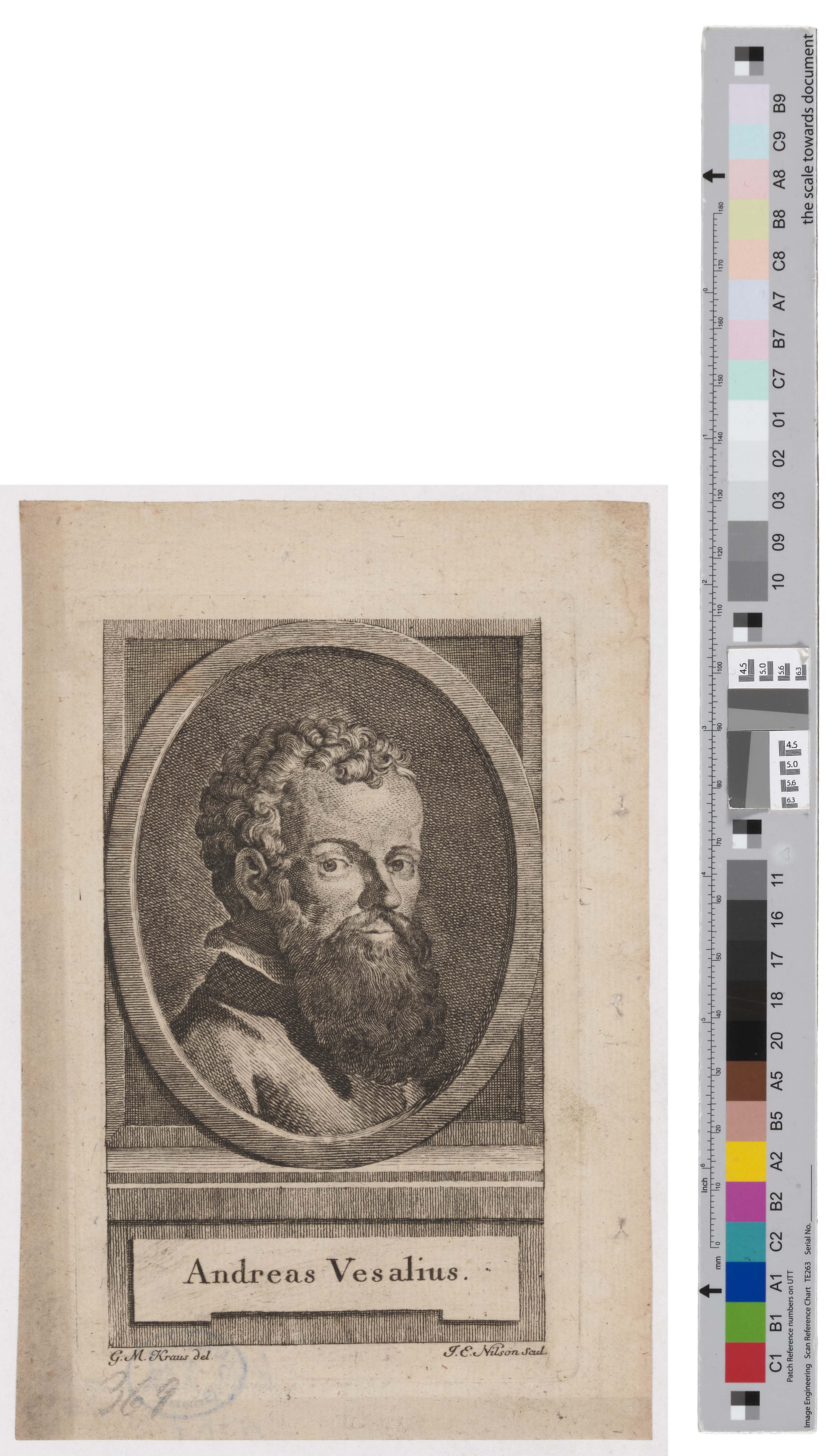 Porträt des Andreas Vesalius (Kreismuseum Grimma RR-F)