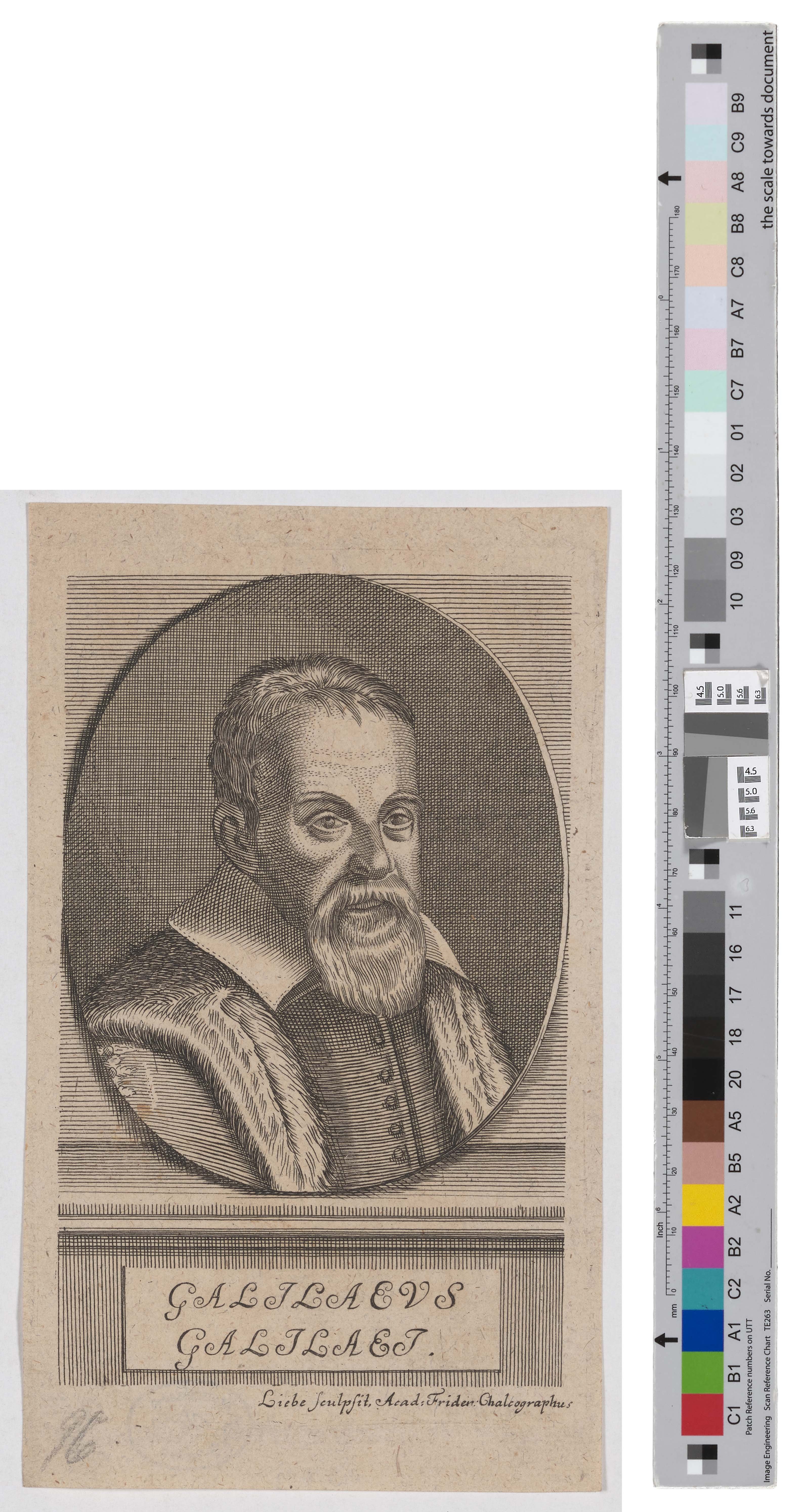 Darstellung des Galileo Galilei (Kreismuseum Grimma RR-F)