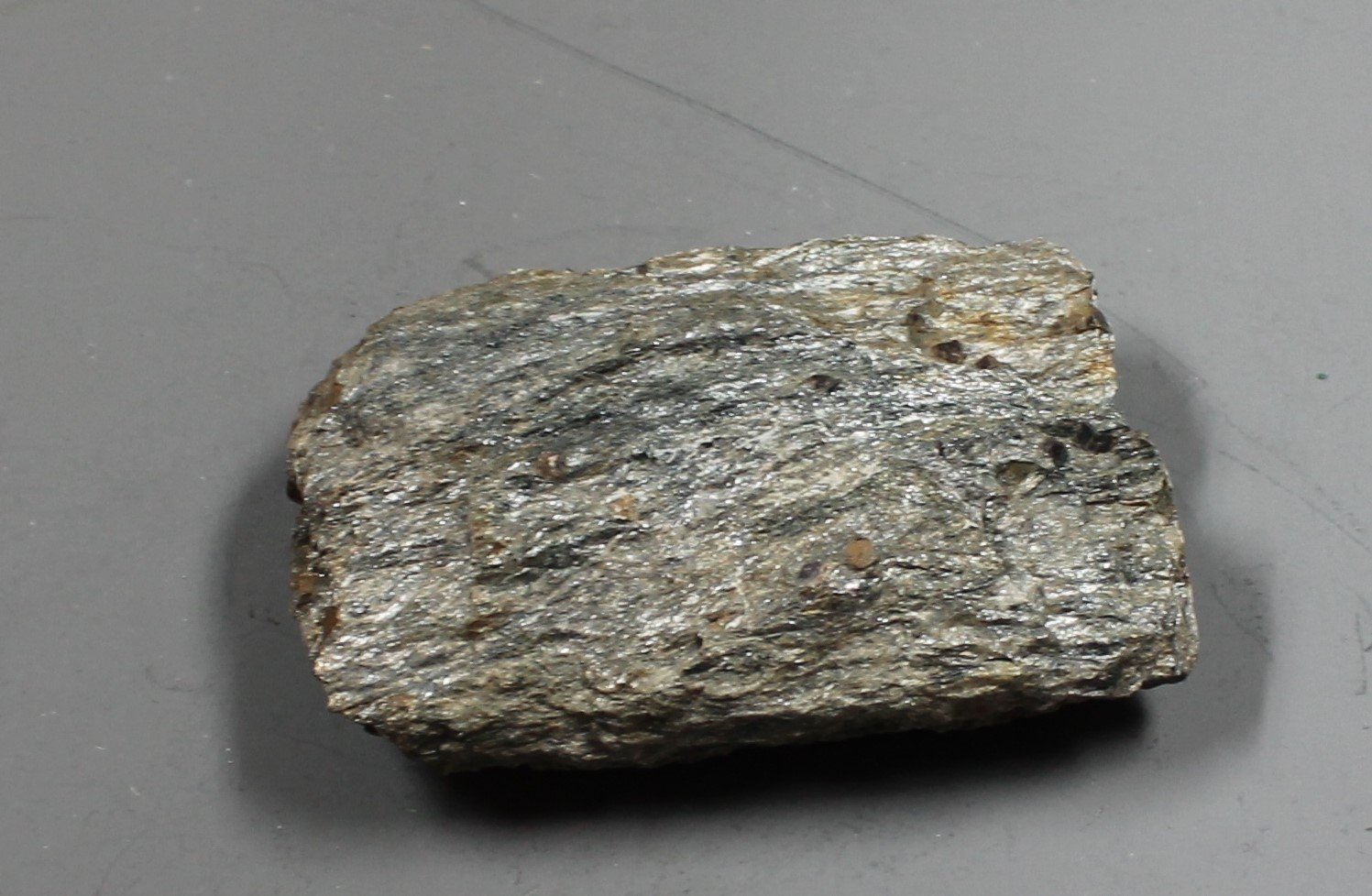 Glimmerschiefer mit Granat (Museum für Naturkunde Chemnitz CC BY-NC-ND)